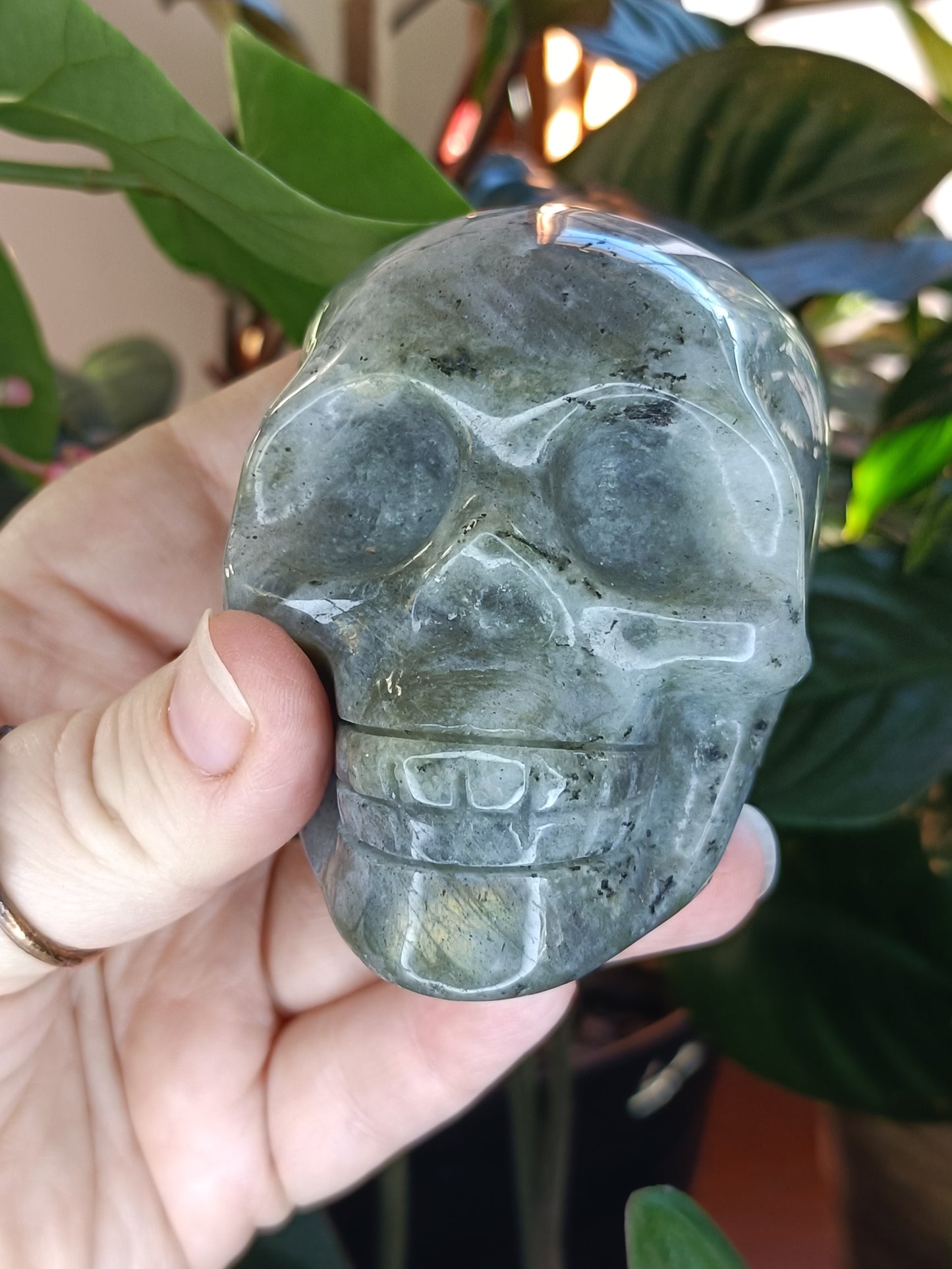 Labradorite Skull Carving - 473g