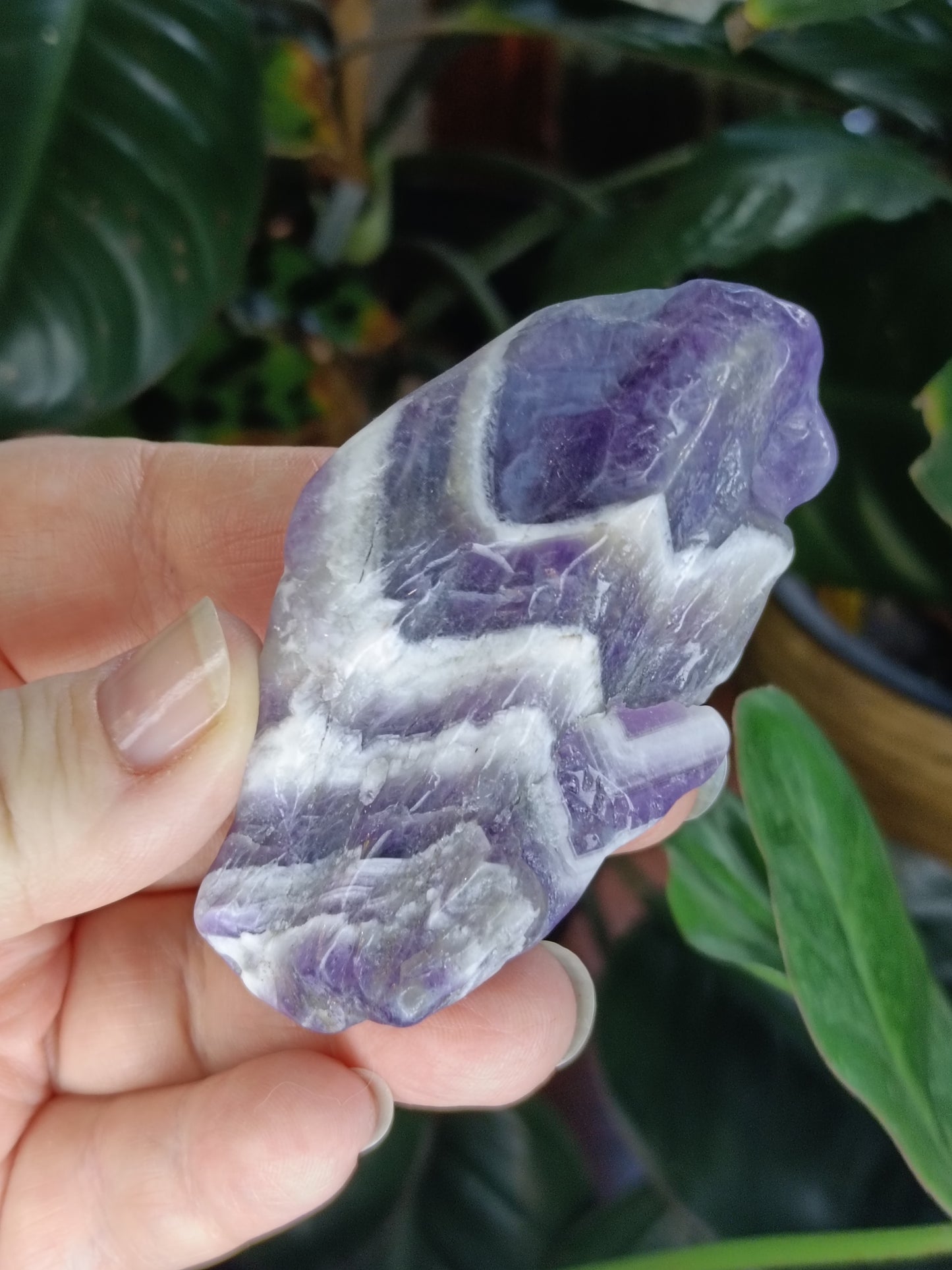 Chevron Amethyst Rough Points - 30-120g