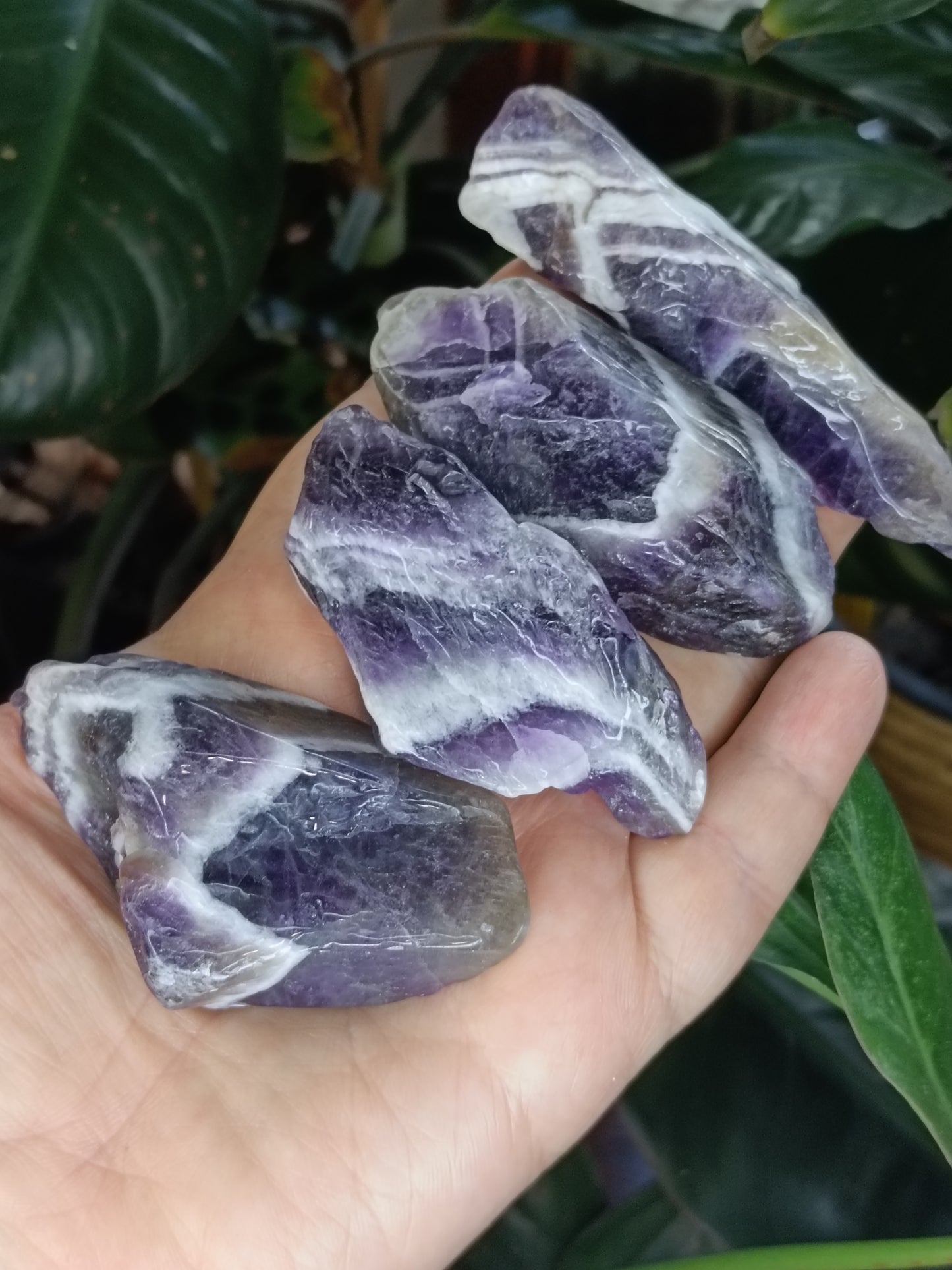 Chevron Amethyst Rough Points - 30-120g