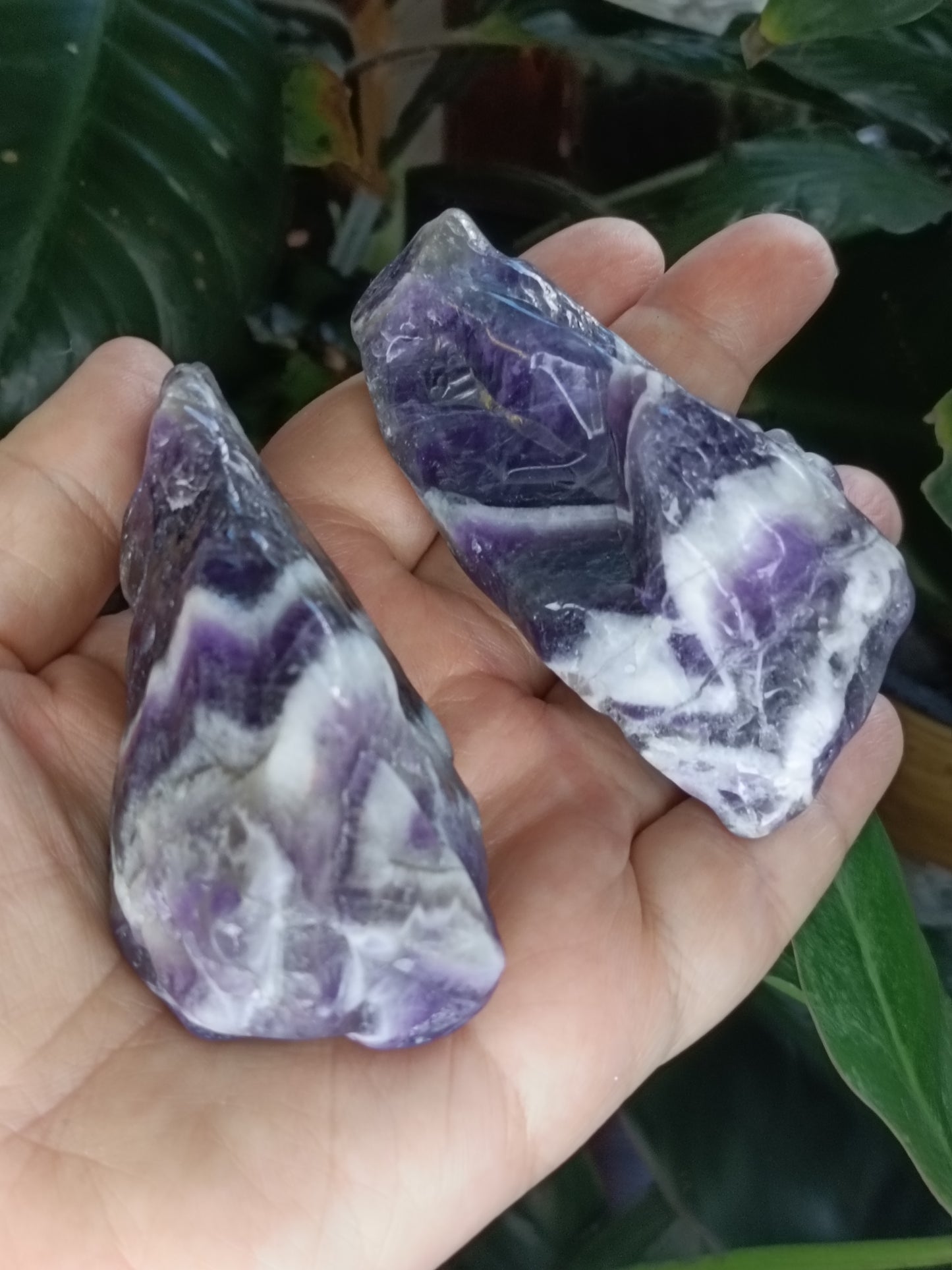 Chevron Amethyst Rough Points - 30-120g