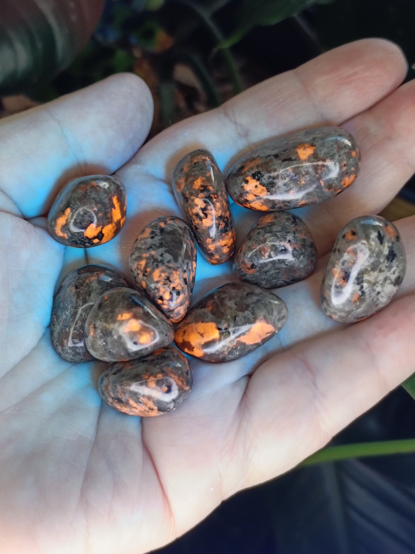 Sodalite & Syenite 'Emberlite/Yooperlite' SML Tumbles - 50g