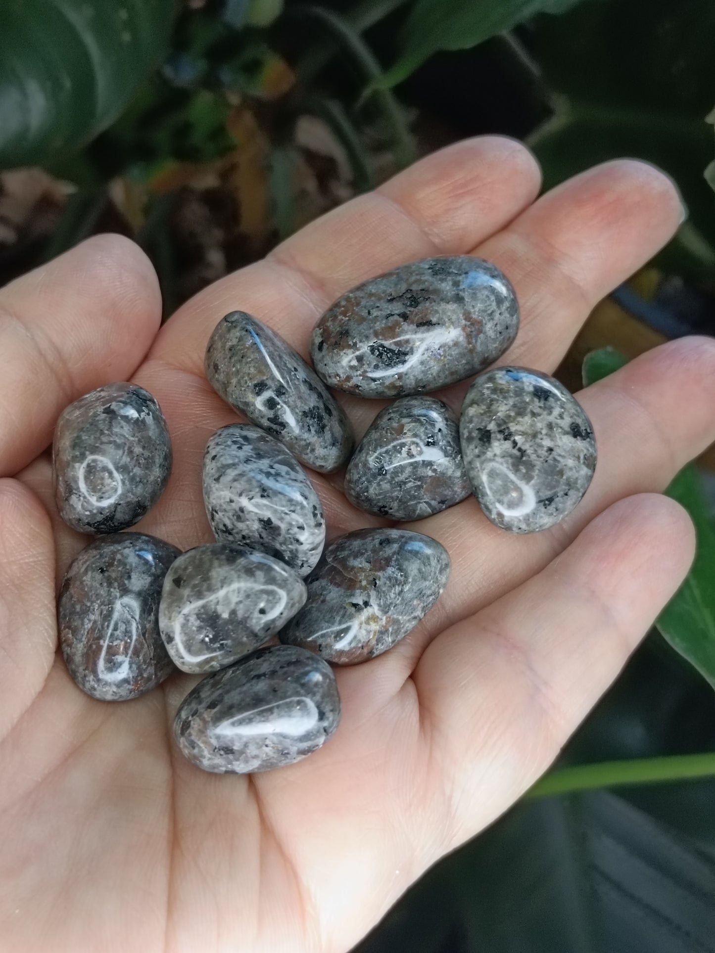 Sodalite & Syenite 'Emberlite/Yooperlite' SML Tumbles - 50g