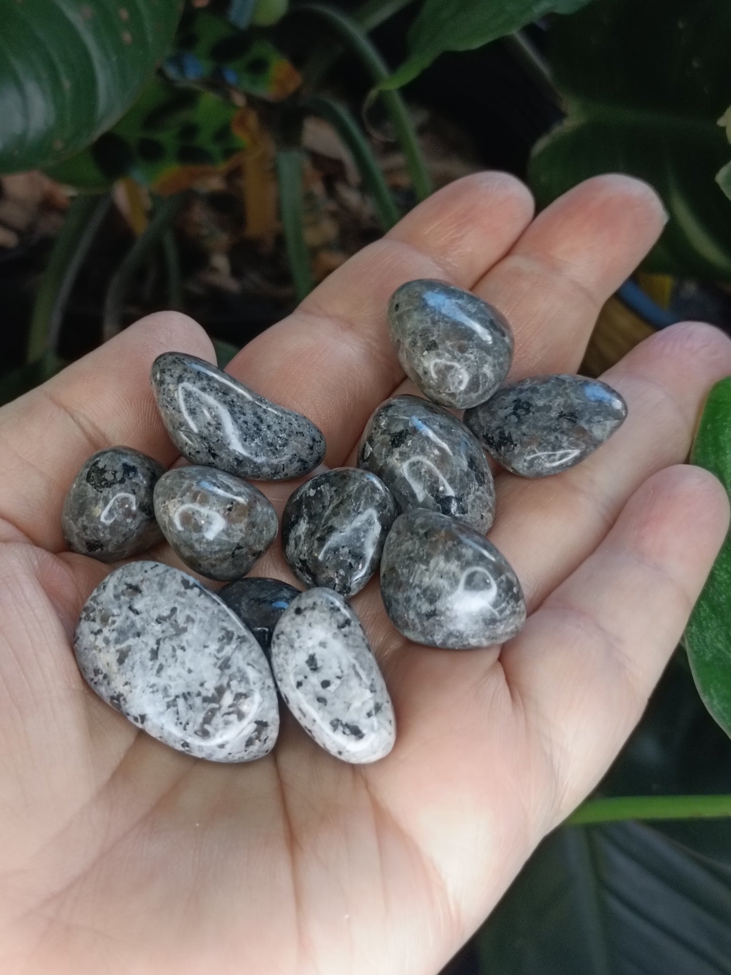Sodalite & Syenite 'Emberlite/Yooperlite' SML Tumbles - 50g