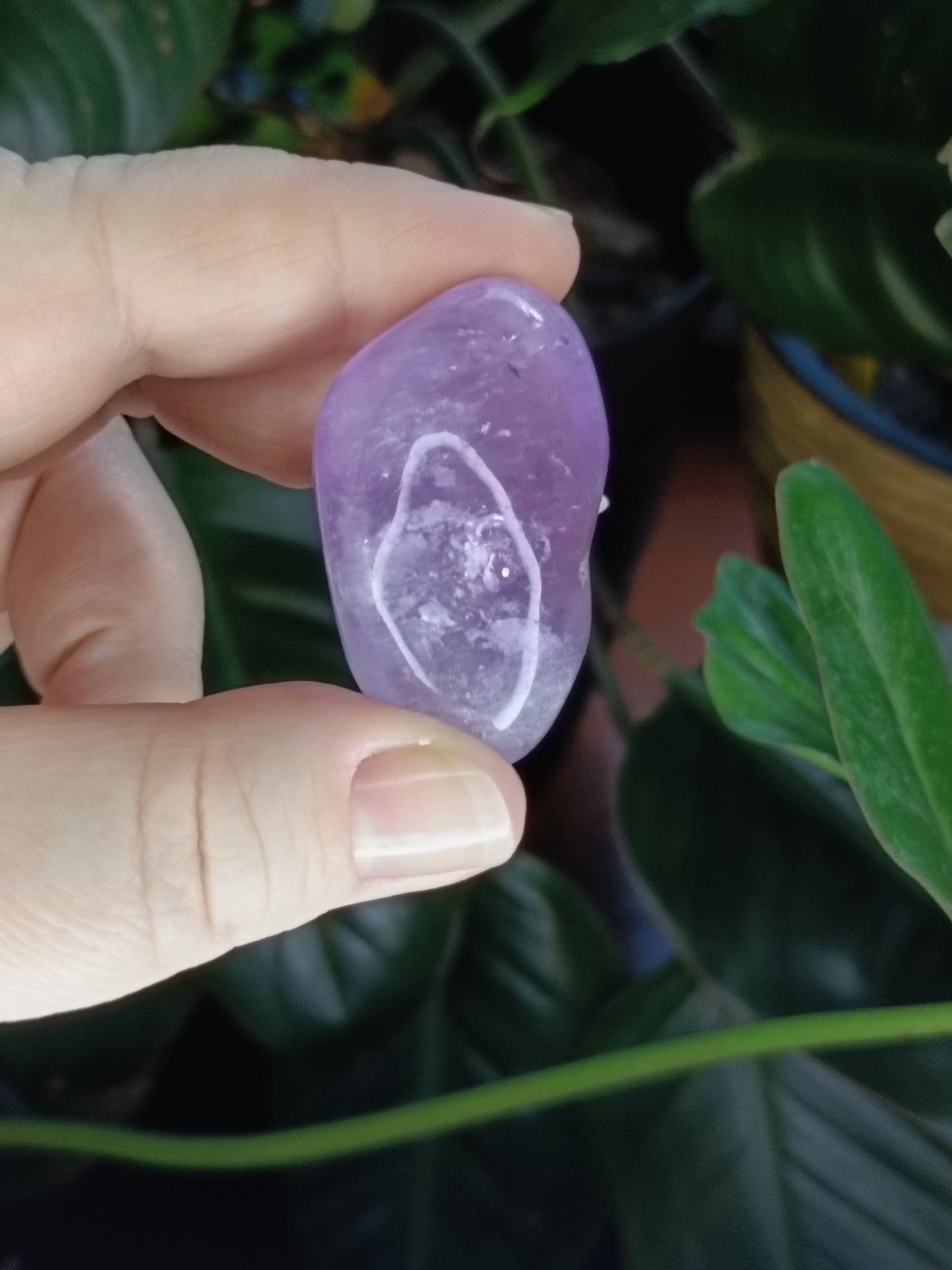 Bright Amethyst Tumbles - 25-50g