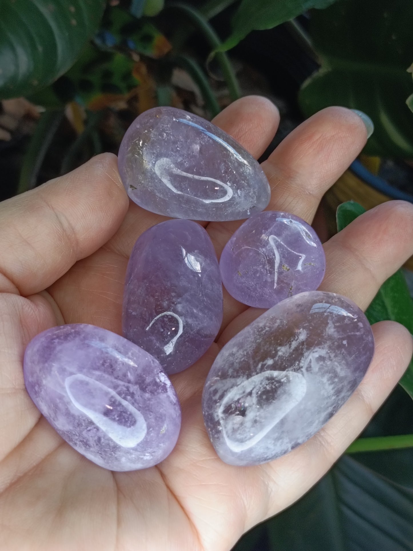 Bright Amethyst Tumbles - 25-50g
