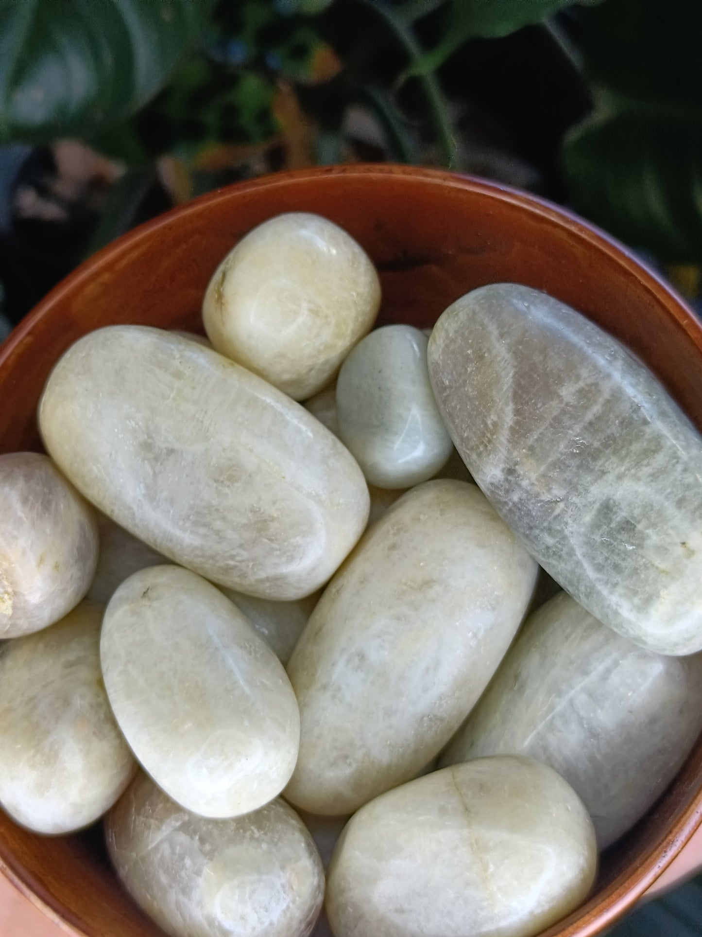 Blue Flash Moonstone Tumbles - 50g