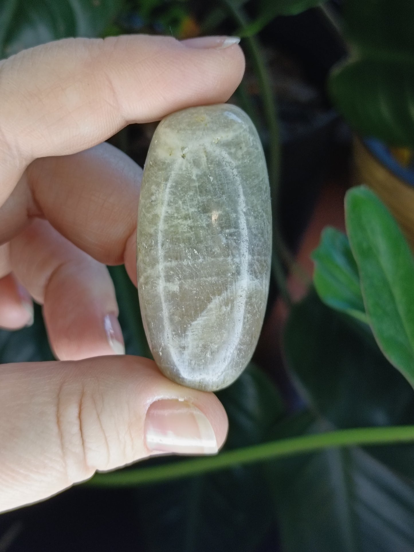 Blue Flash Moonstone Tumbles - 50g