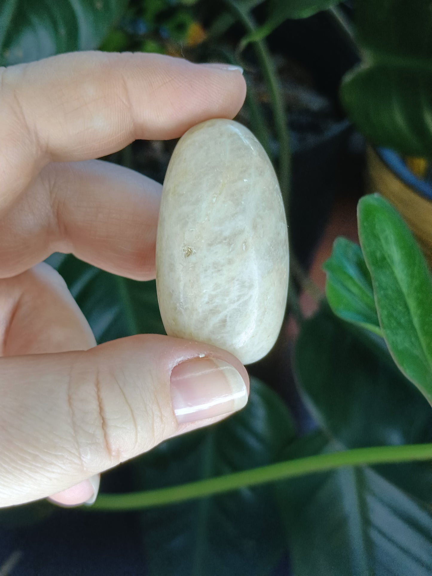 Blue Flash Moonstone Tumbles - 50g