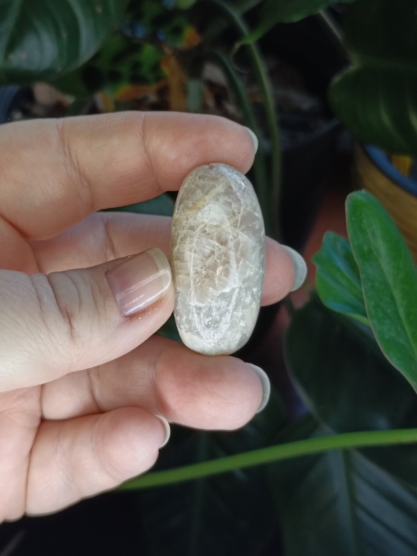 Blue Flash Moonstone Tumbles - 50g
