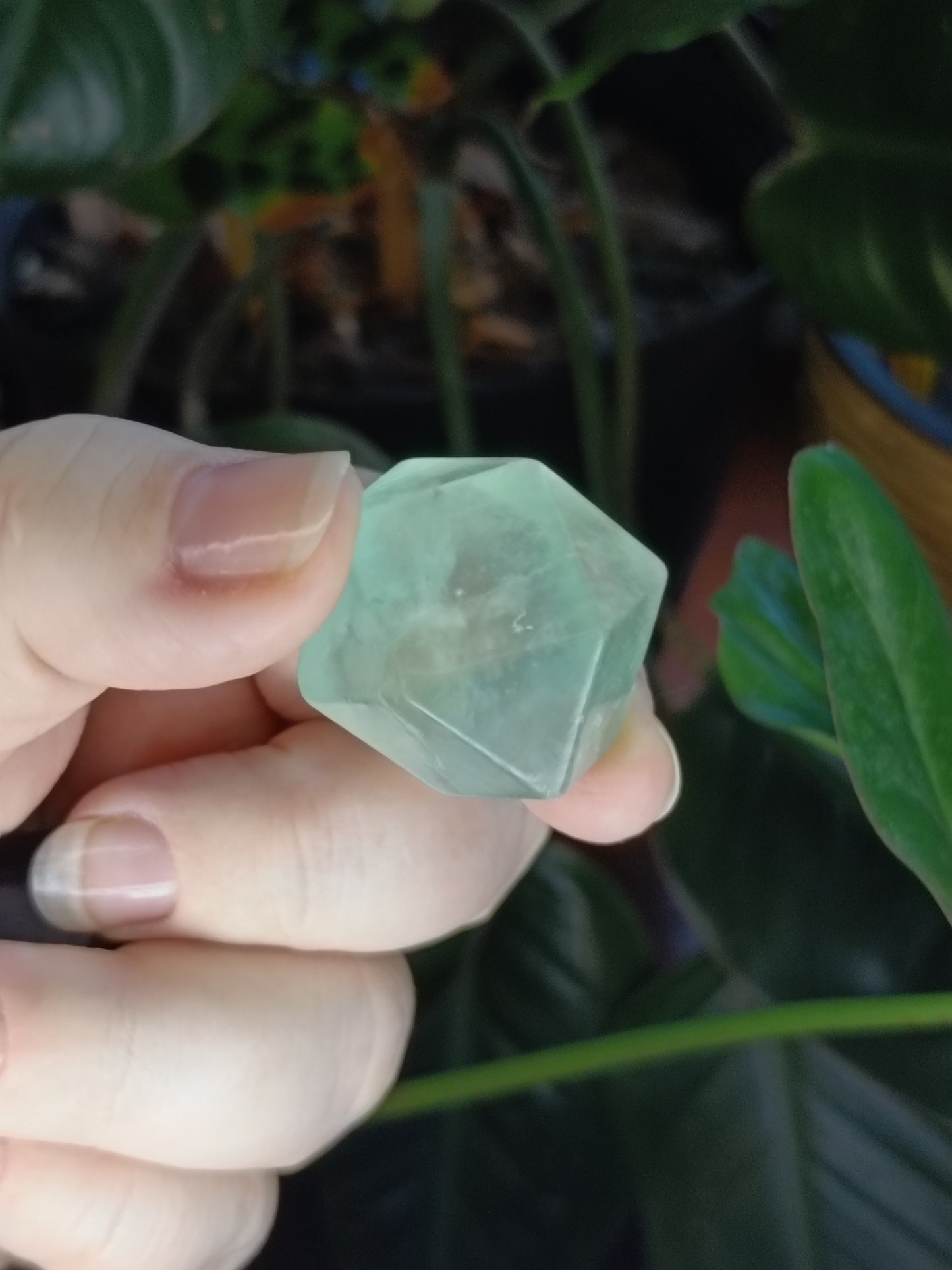 Mixed Fluorite Polygon Dice - 10-20g