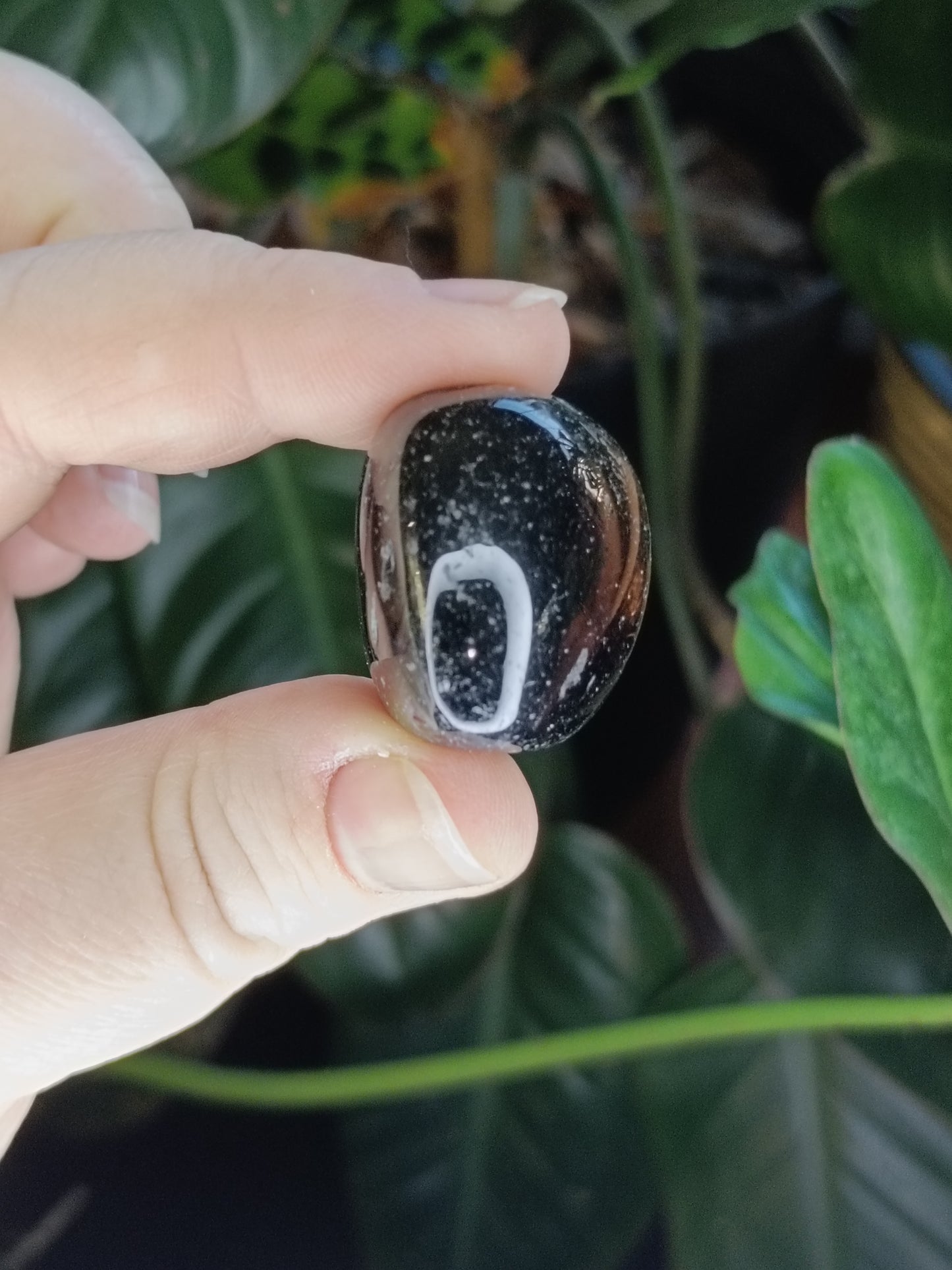 Dark Smokey Quartz Tumbles - 50g