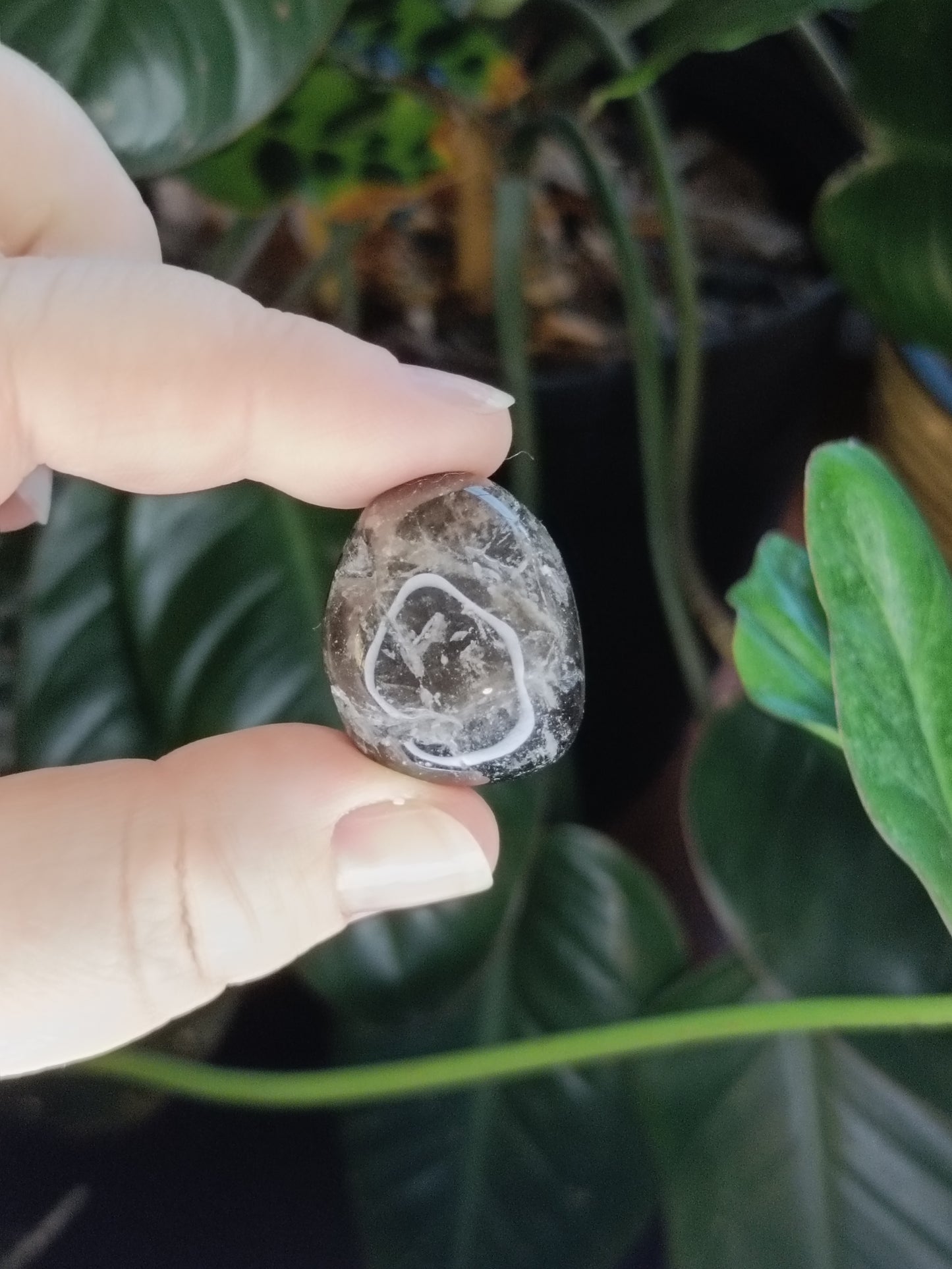 Dark Smokey Quartz Tumbles - 50g