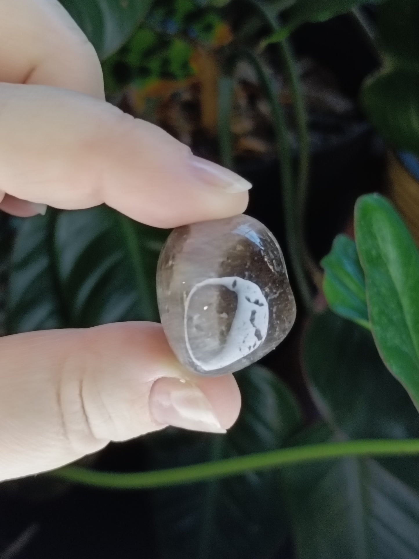 Dark Smokey Quartz Tumbles - 50g