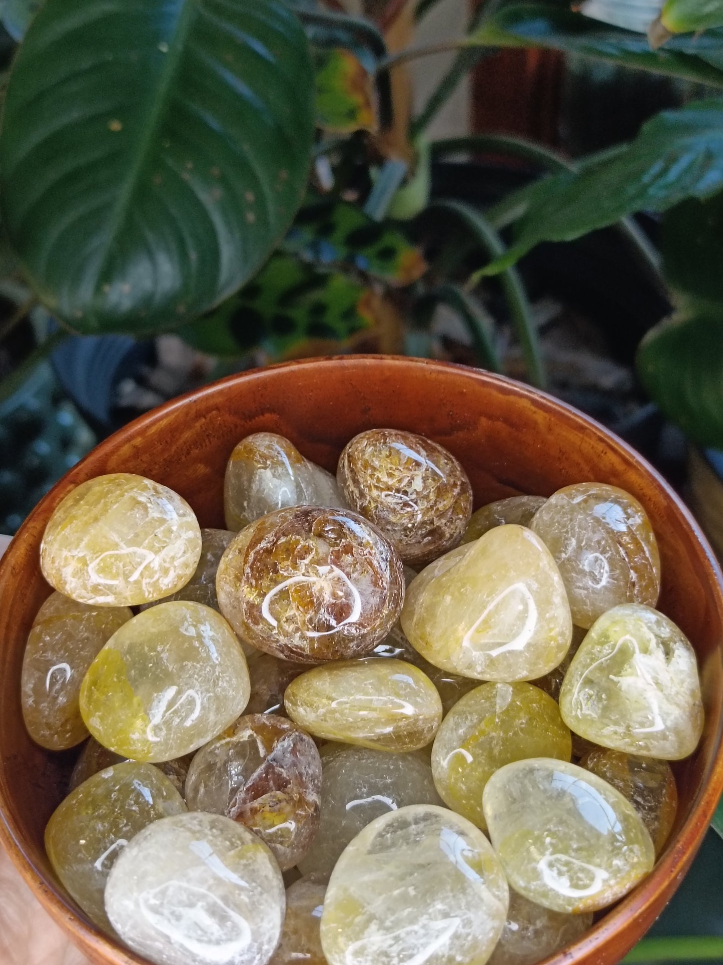 Golden Healer SML Tumbles - 50g