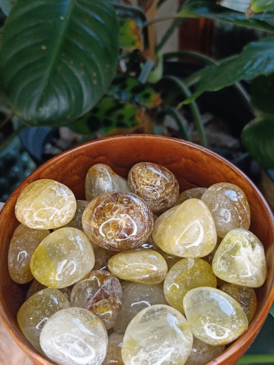 Golden Healer SML Tumbles - 50g