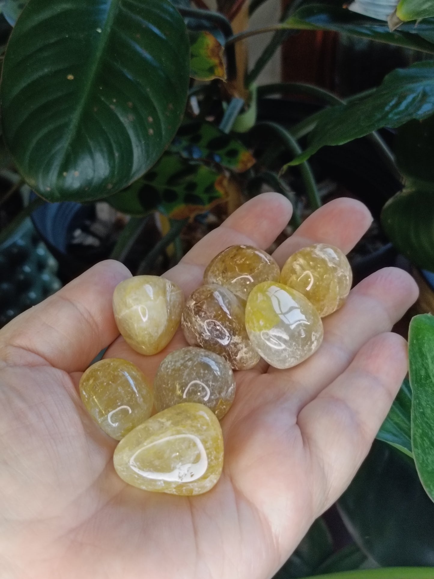 Golden Healer SML Tumbles - 50g