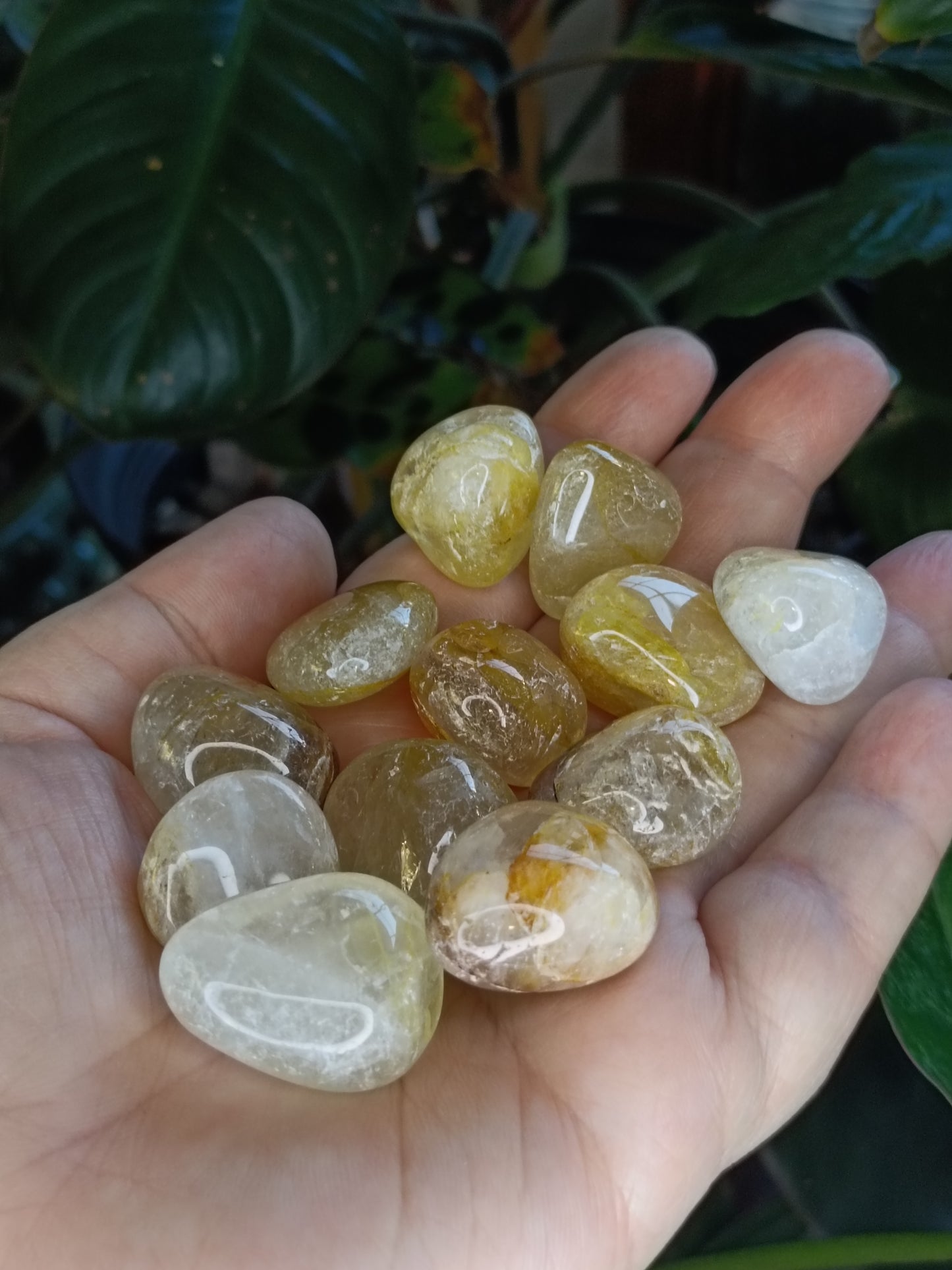 Golden Healer SML Tumbles - 50g