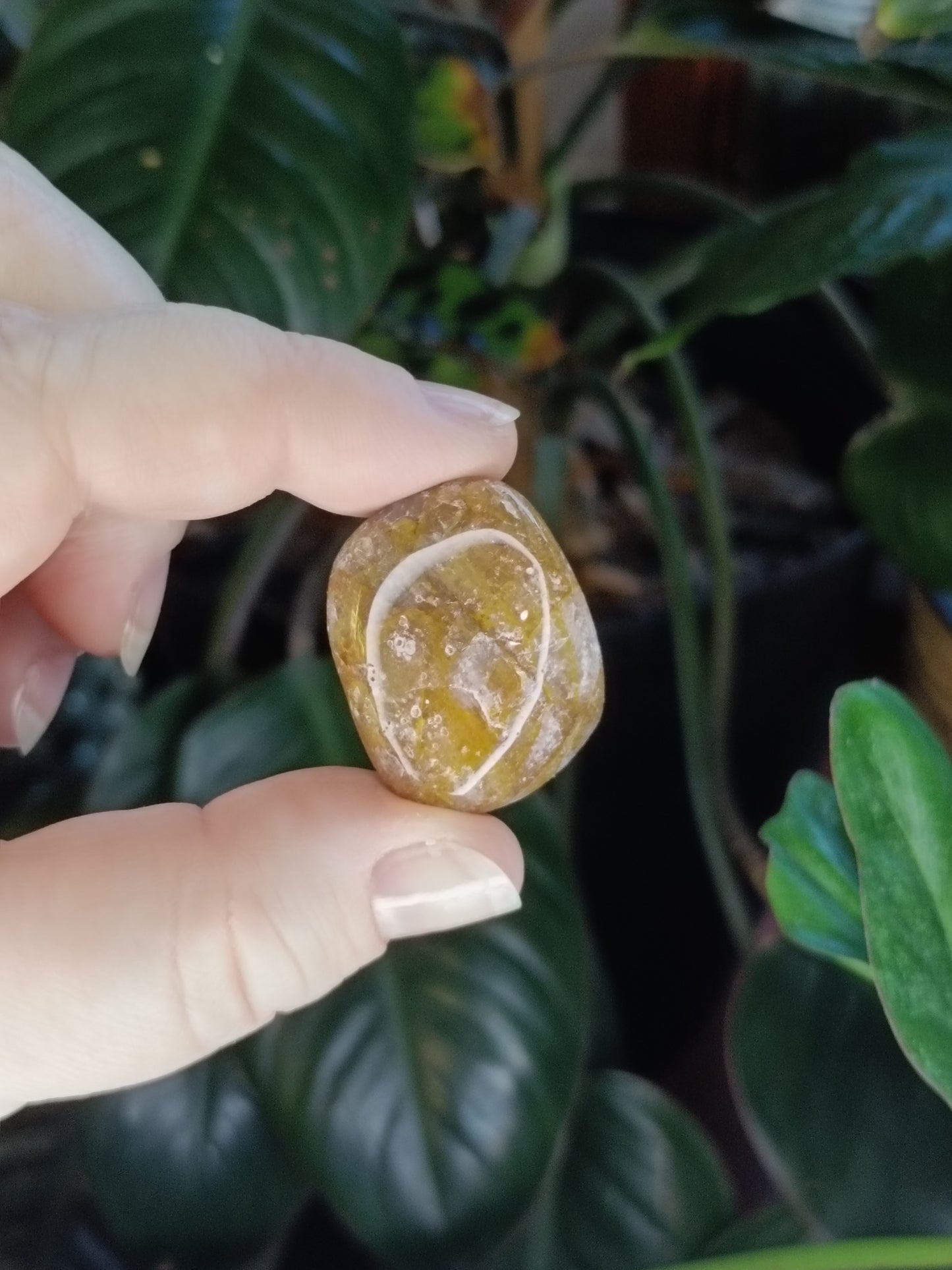 Golden Healer SML Tumbles - 50g