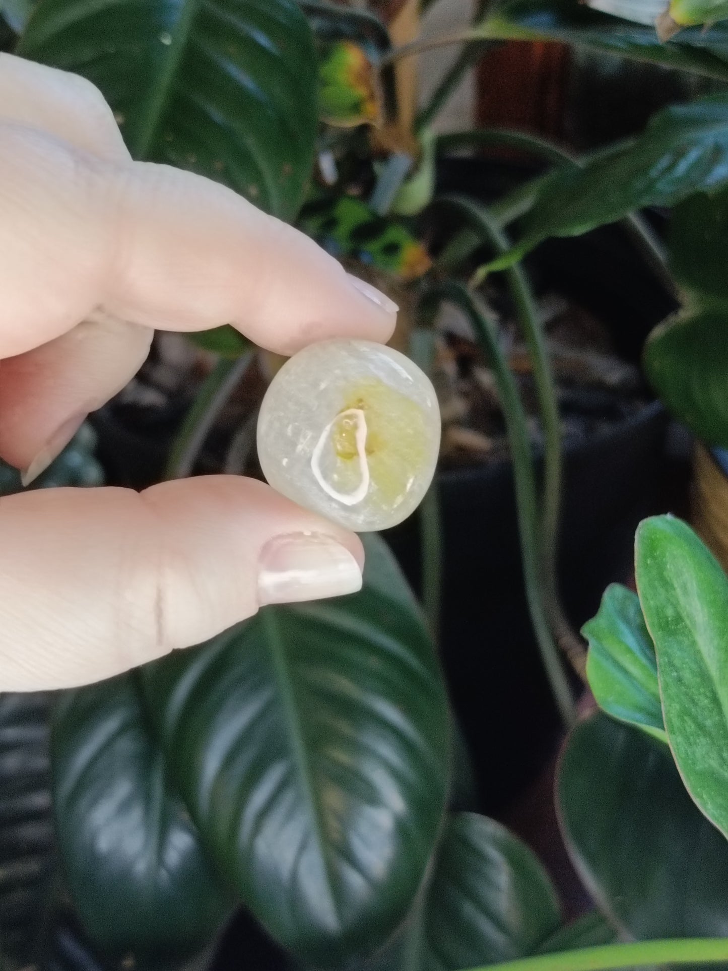 Golden Healer SML Tumbles - 50g