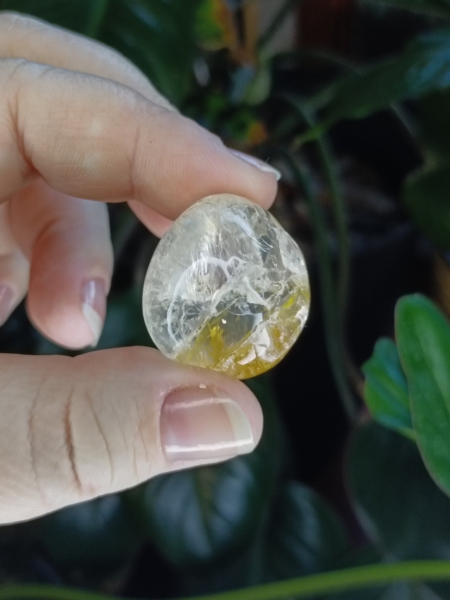 Golden Healer SML Tumbles - 50g
