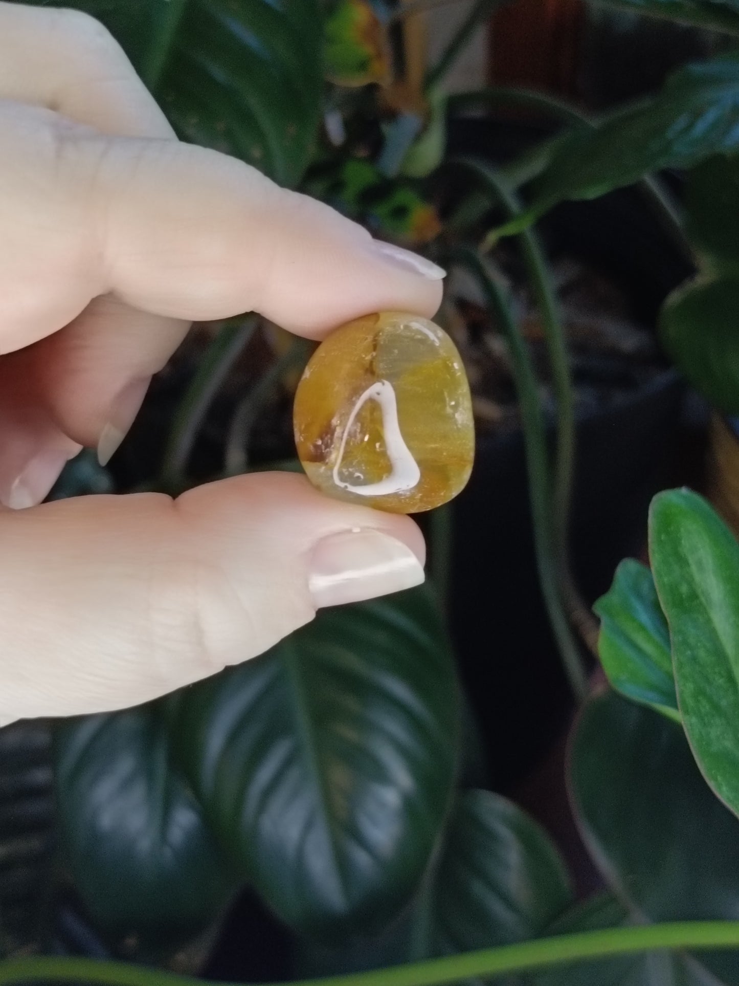Golden Healer SML Tumbles - 50g