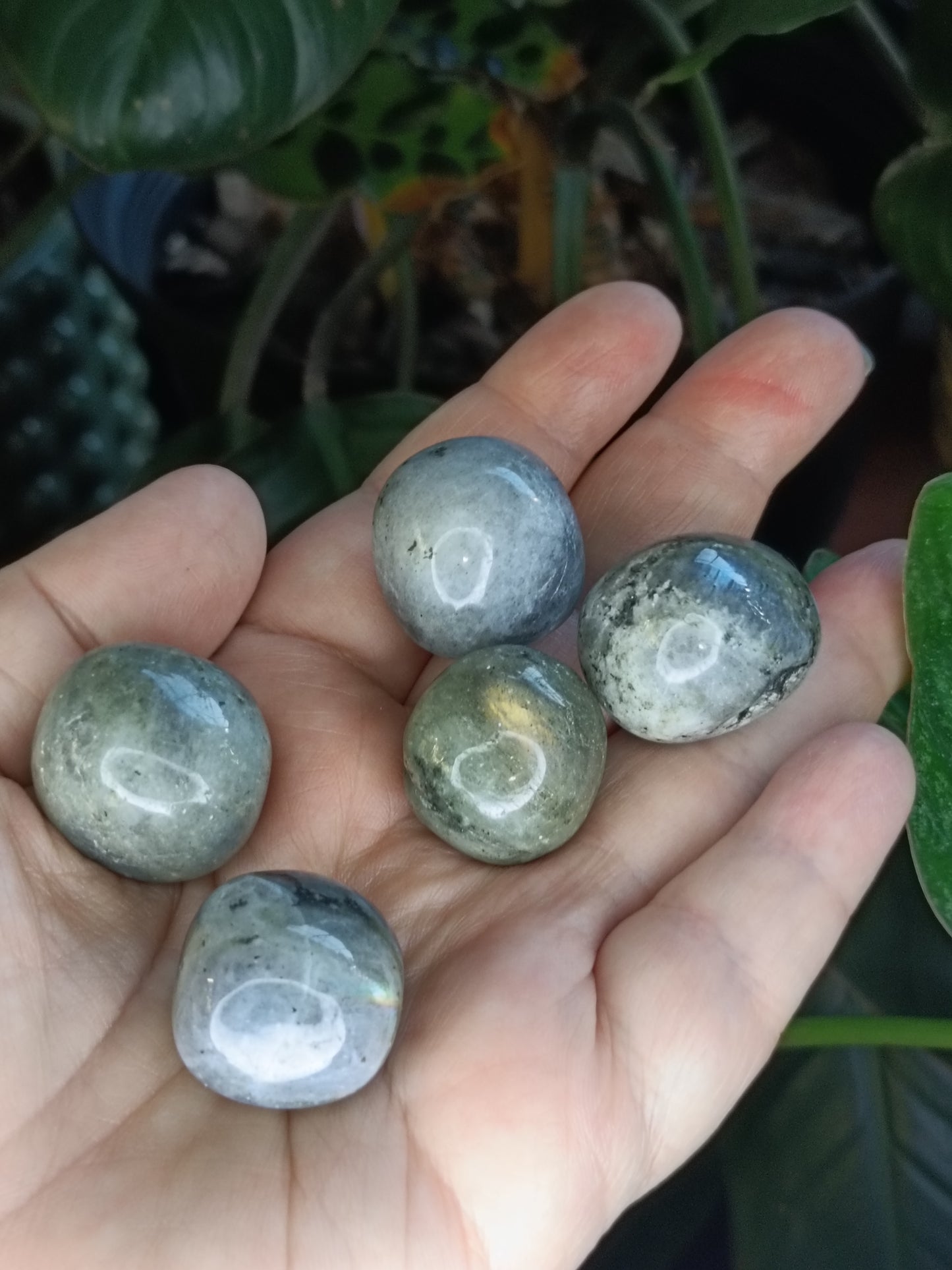 Labradorite Round Tumble Stone - 10-20g