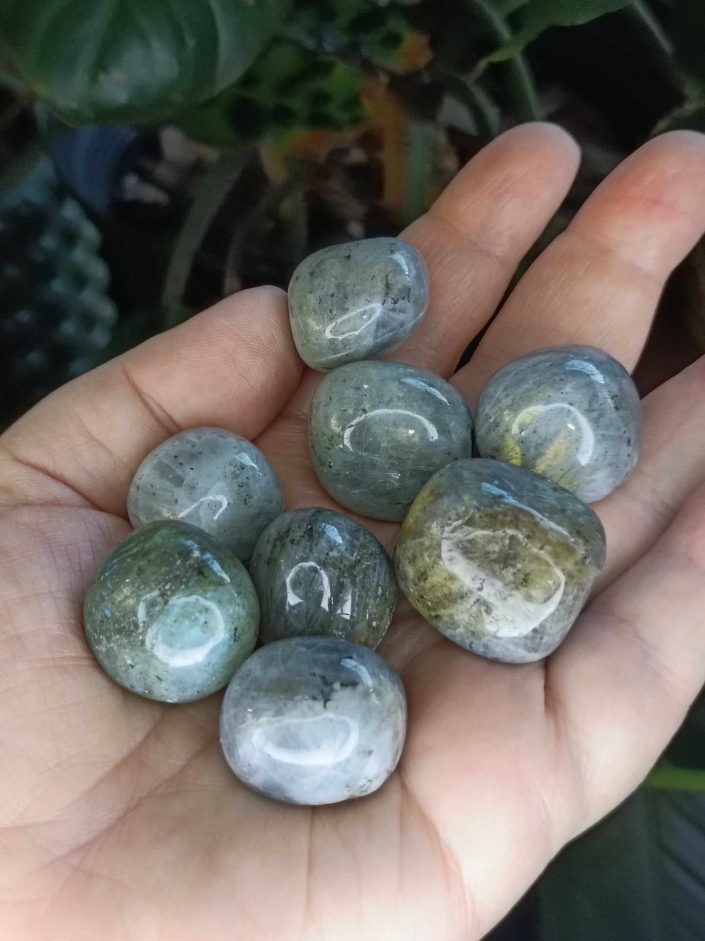 Labradorite Round Tumble Stone - 10-20g