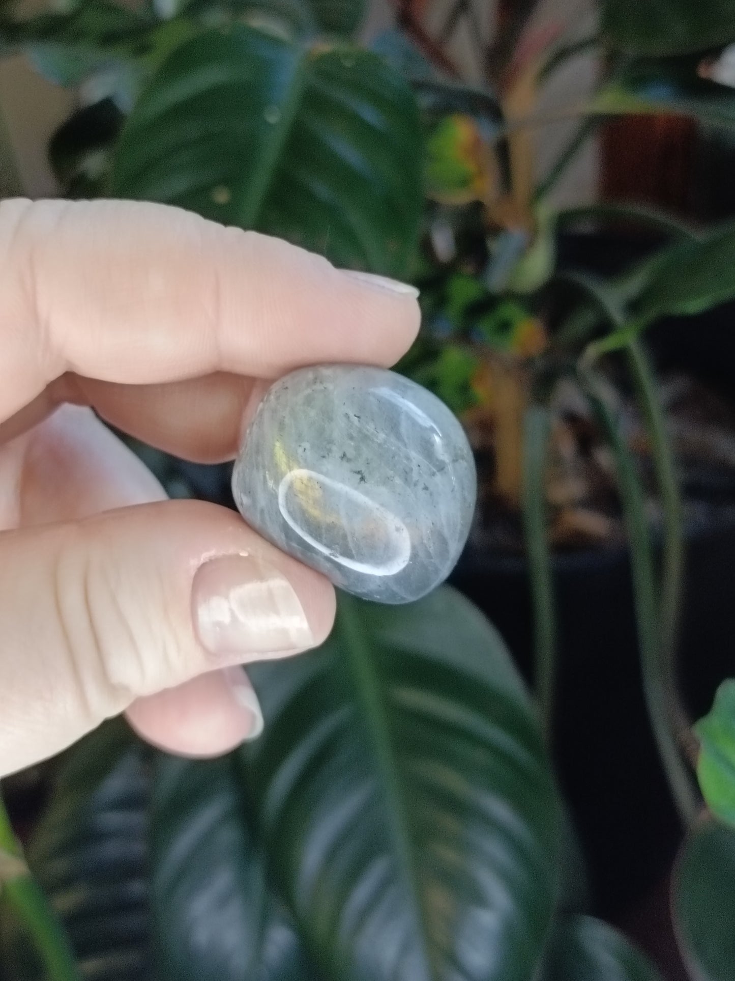 Labradorite Round Tumble Stone - 10-20g
