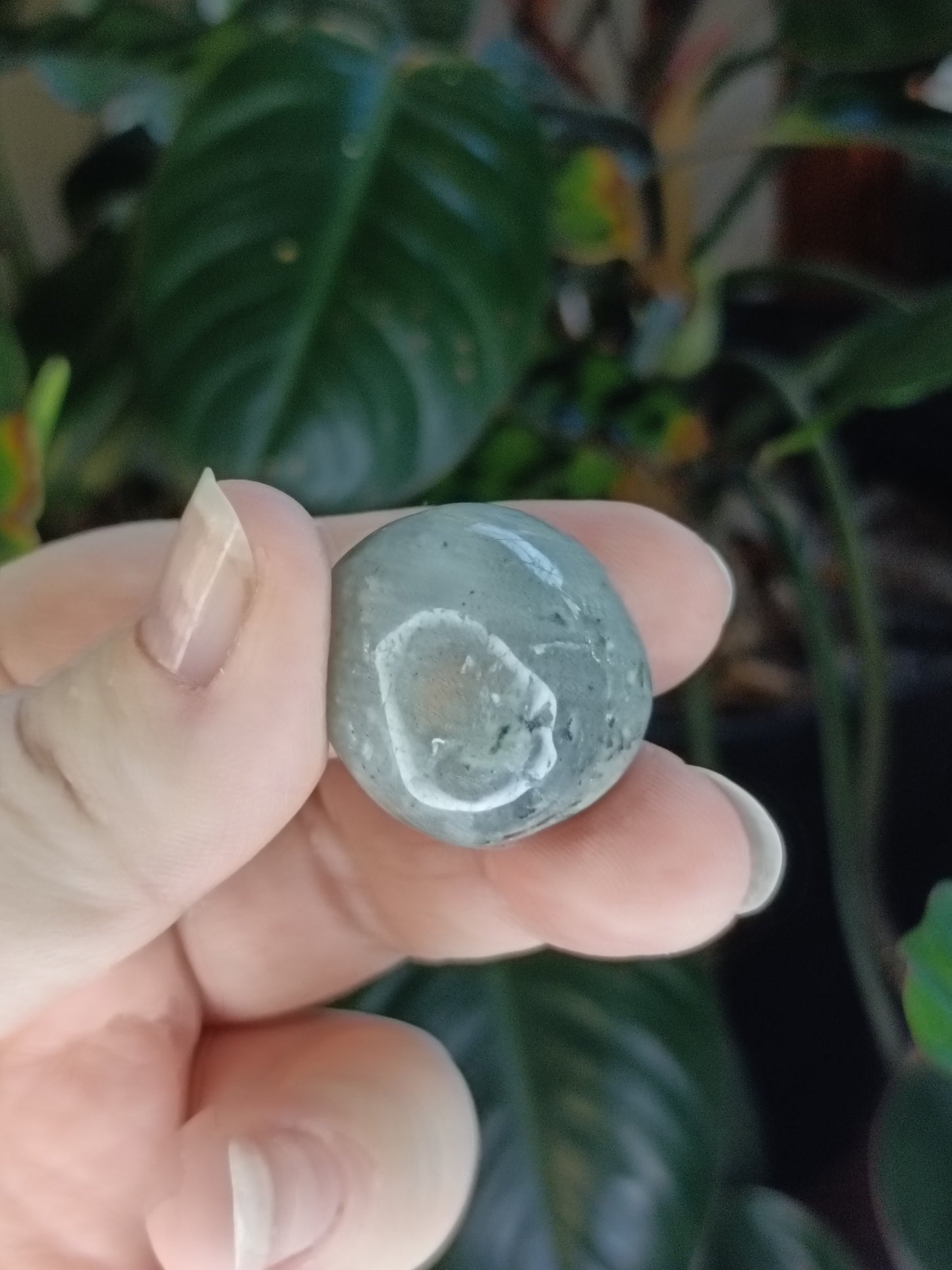 Labradorite Round Tumble Stone - 10-20g