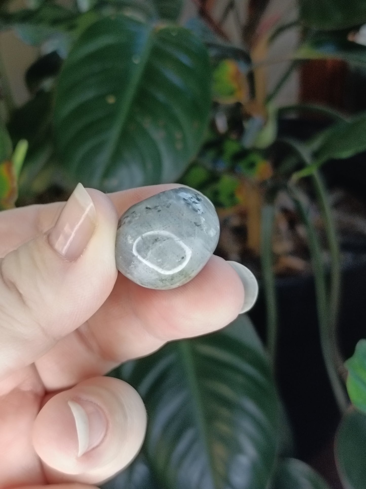 Labradorite Round Tumble Stone - 10-20g