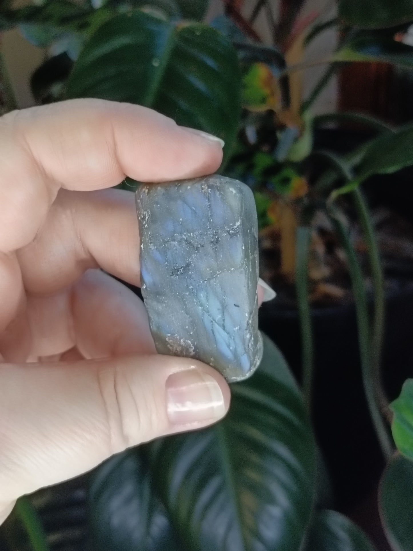 Labradorite Rough Slab Cuts - 100g