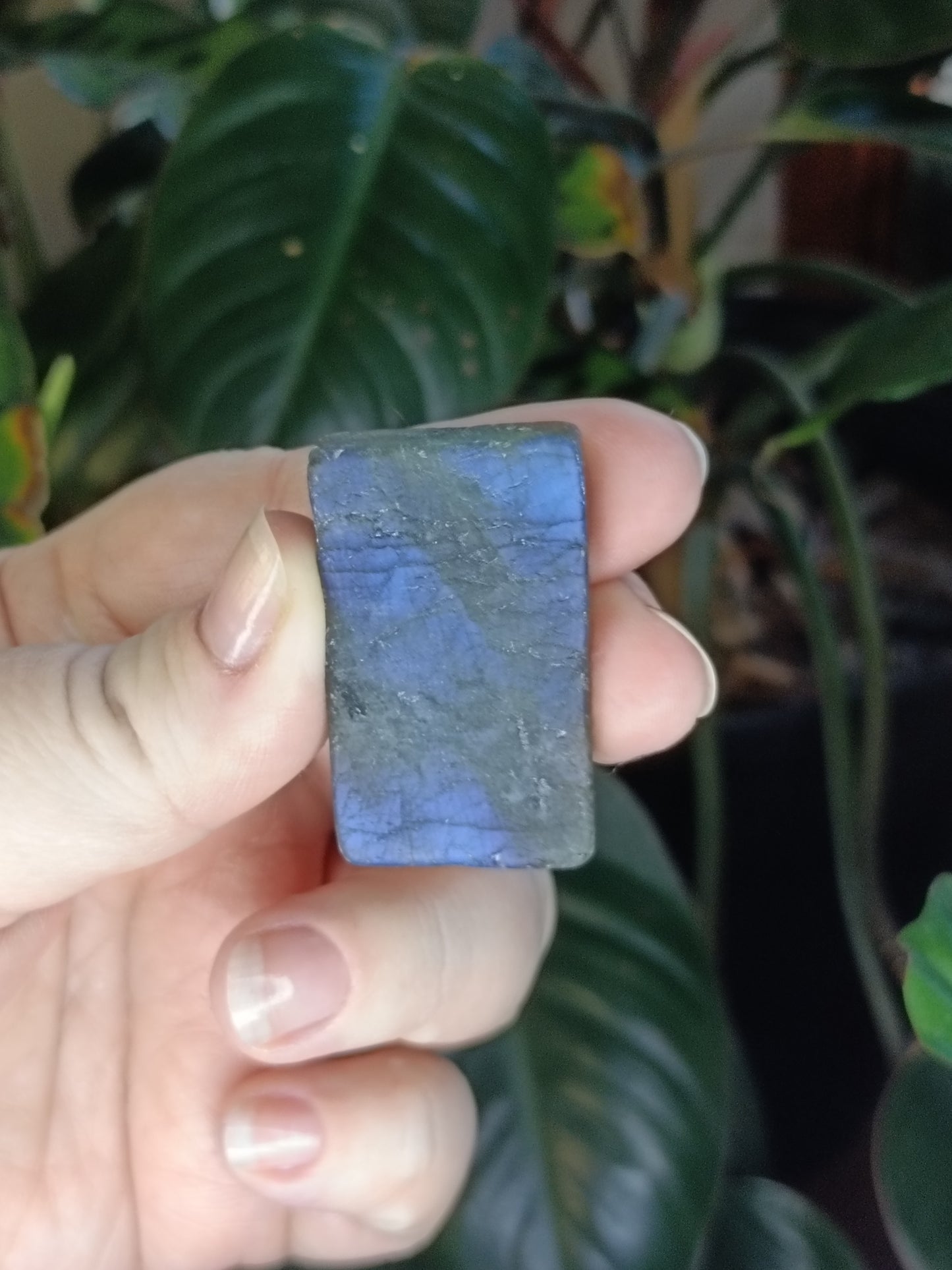 Labradorite Rough Slab Cuts - 100g