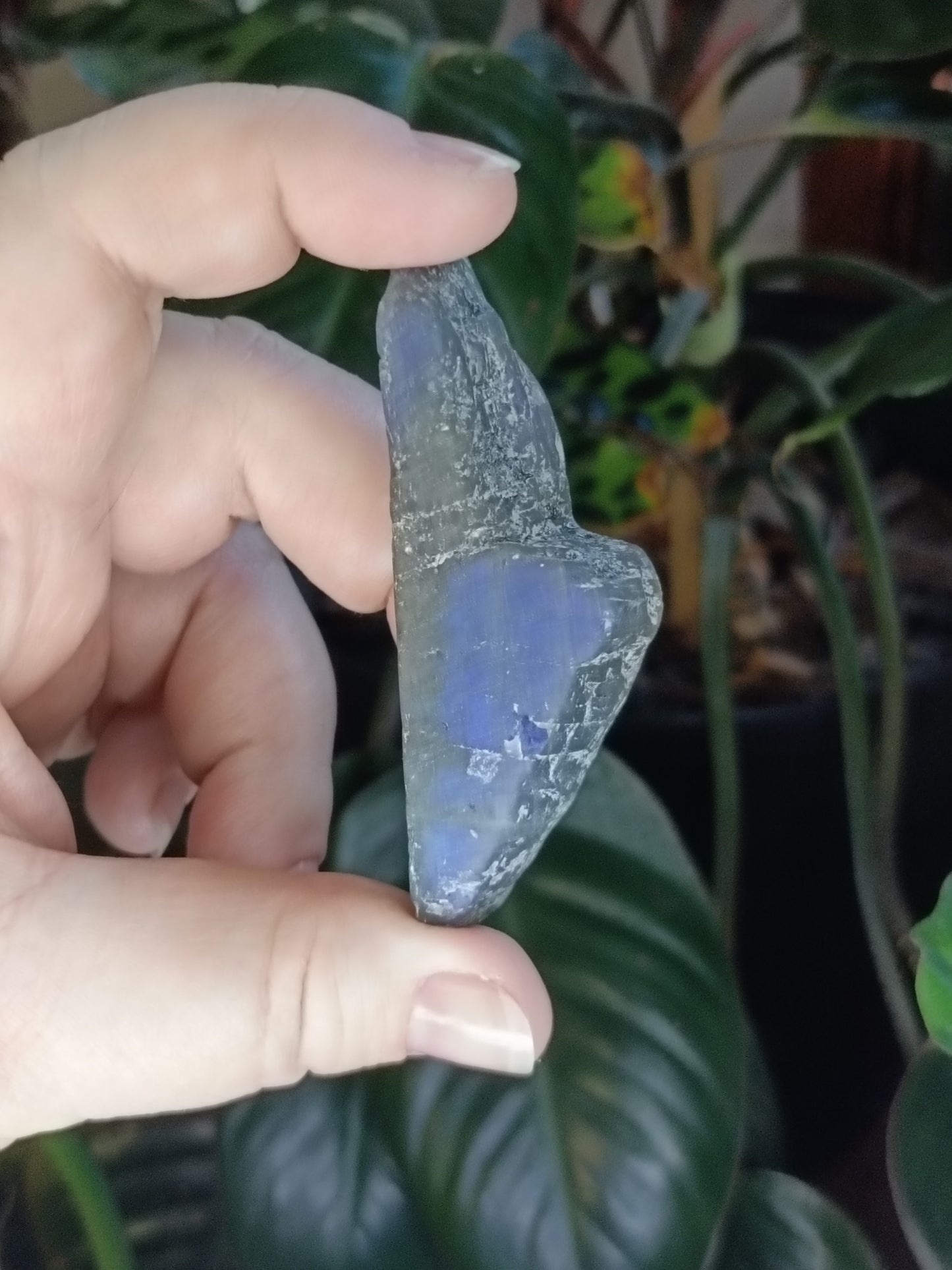 Labradorite Rough Slab Cuts - 100g
