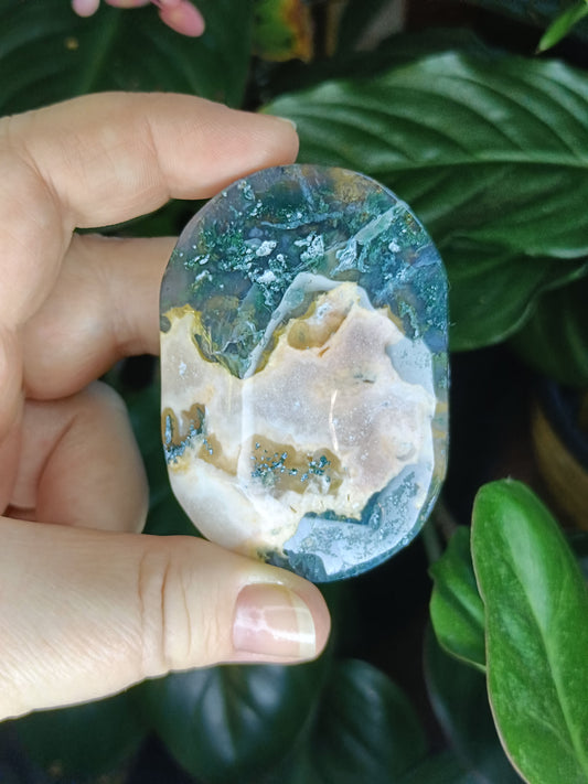 Ocean Jasper Palmstone - 118g