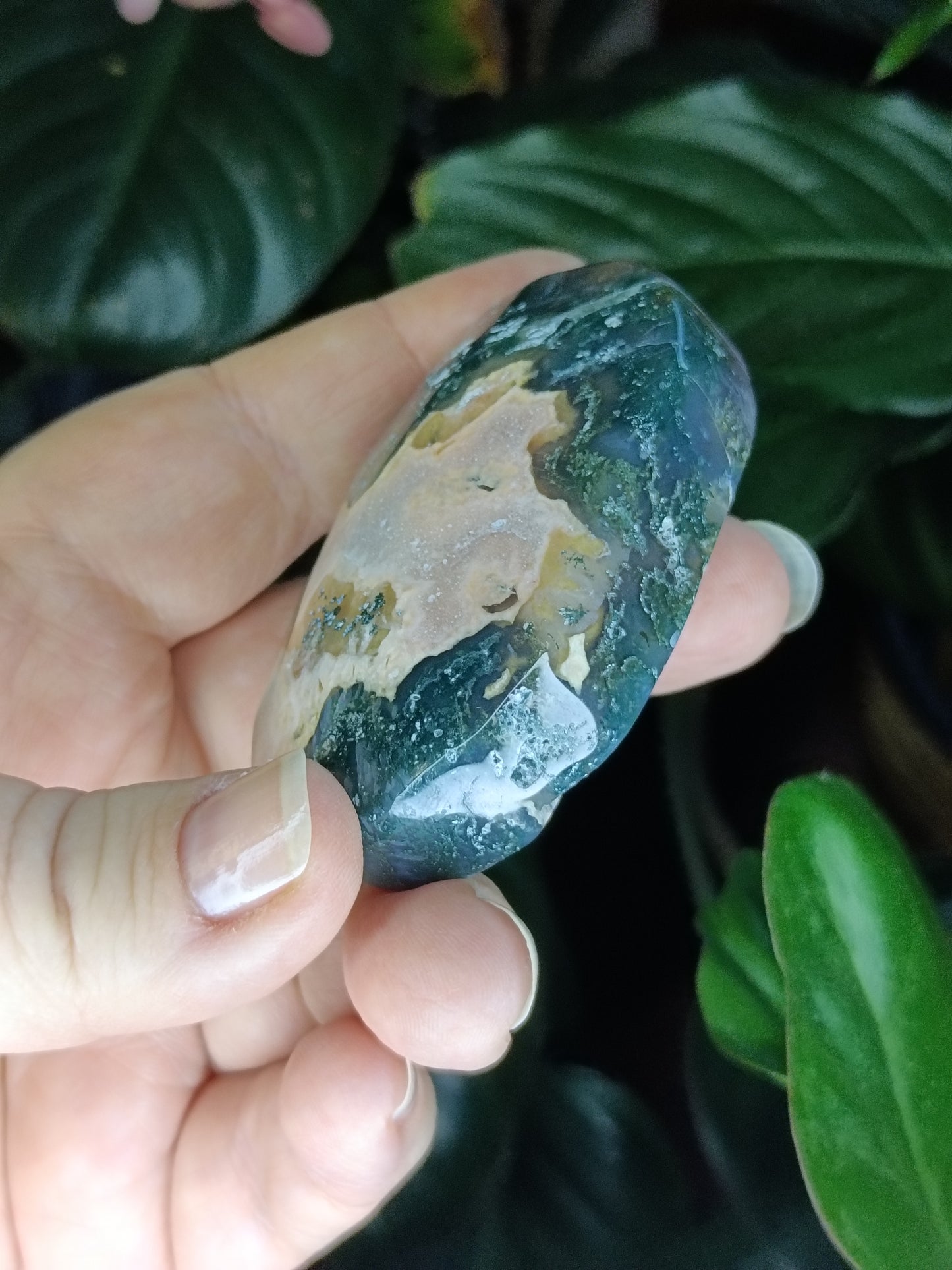 Ocean Jasper Palmstone - 118g