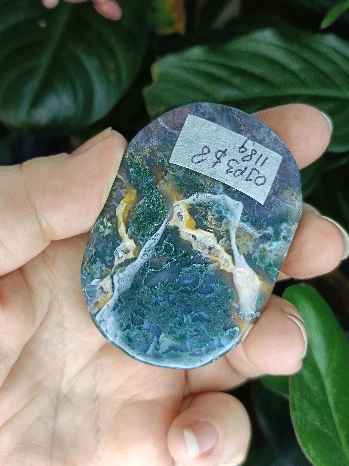 Ocean Jasper Palmstone - 118g