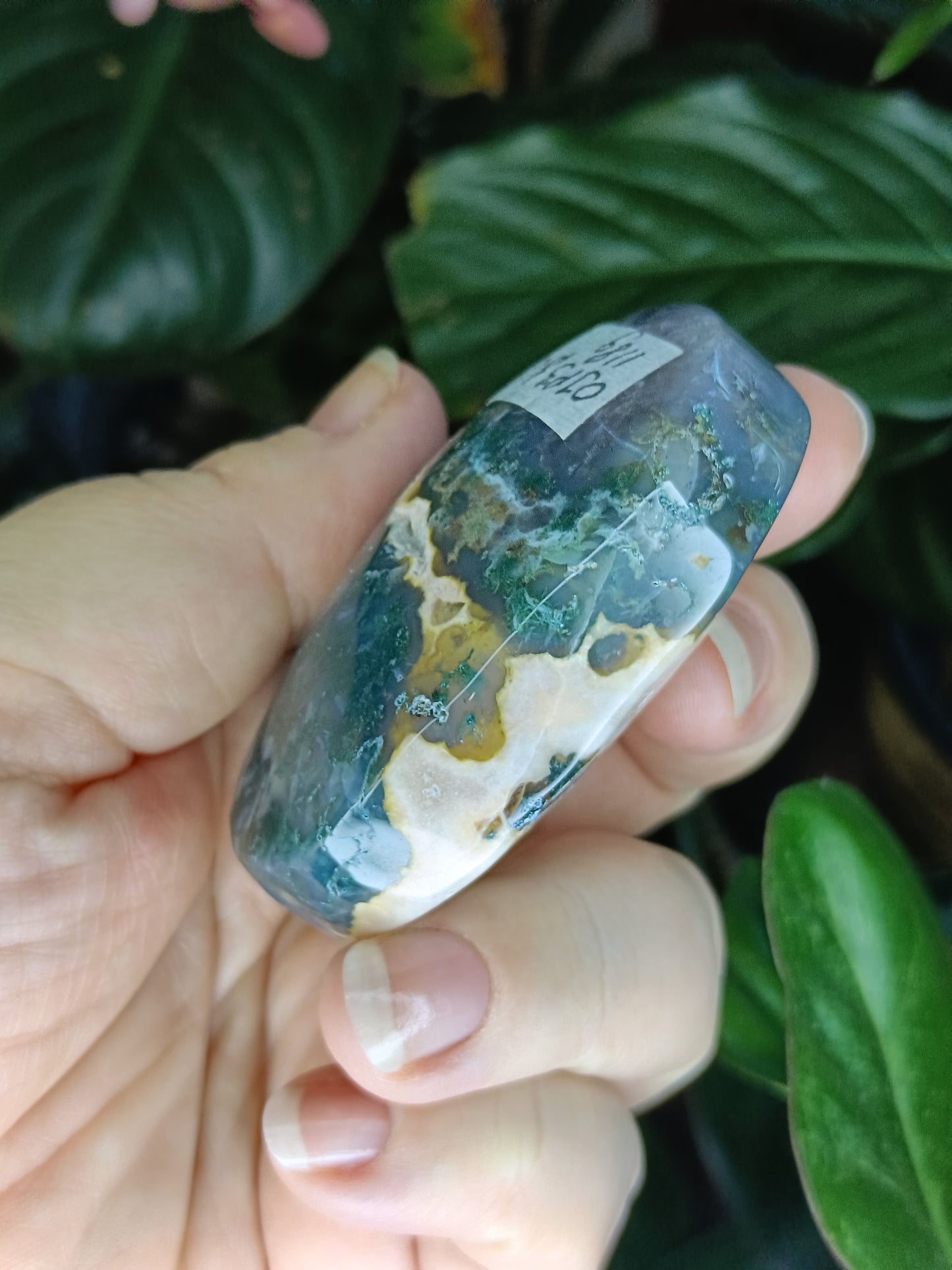 Ocean Jasper Palmstone - 118g