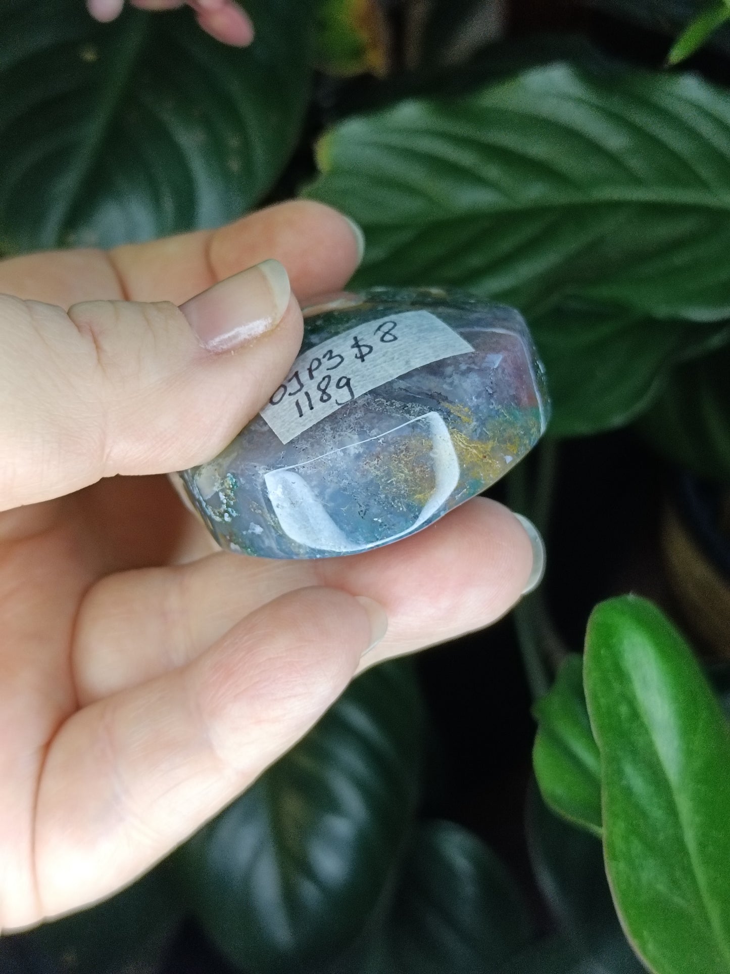 Ocean Jasper Palmstone - 118g