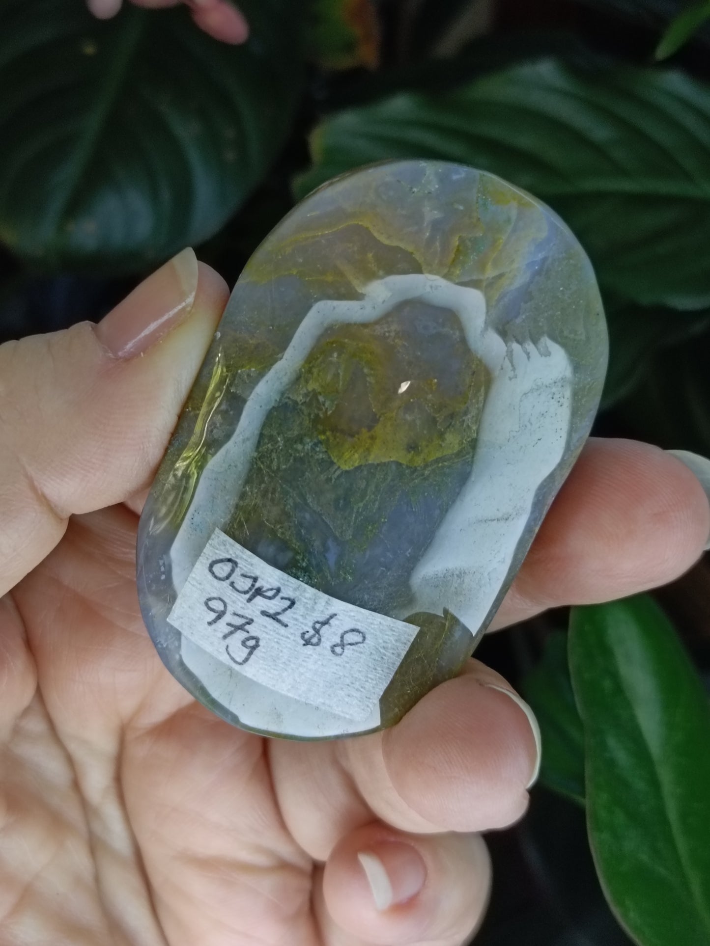 Moss Agate Palmstone - 97g