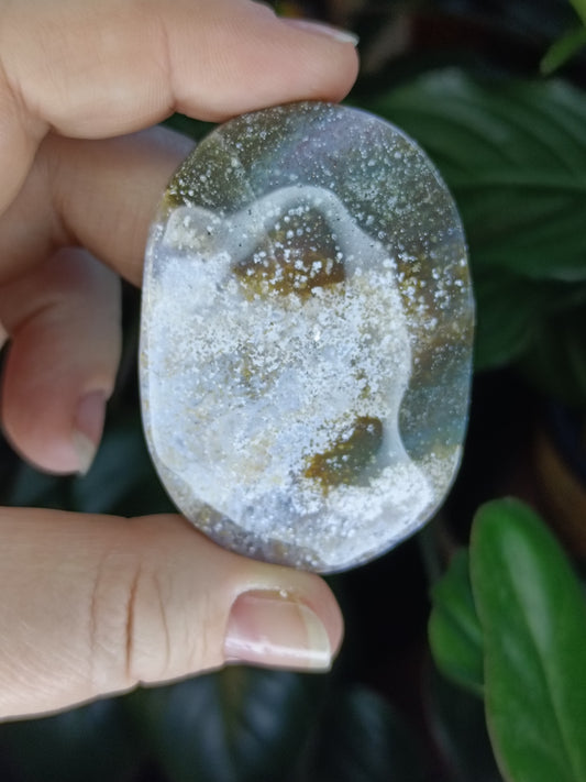 Ocean Jasper Palmstone - 72g