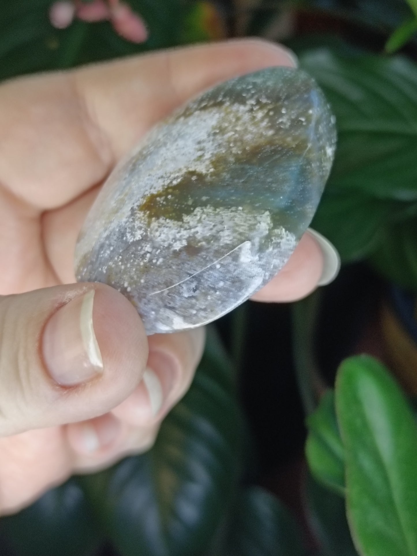 Ocean Jasper Palmstone - 72g
