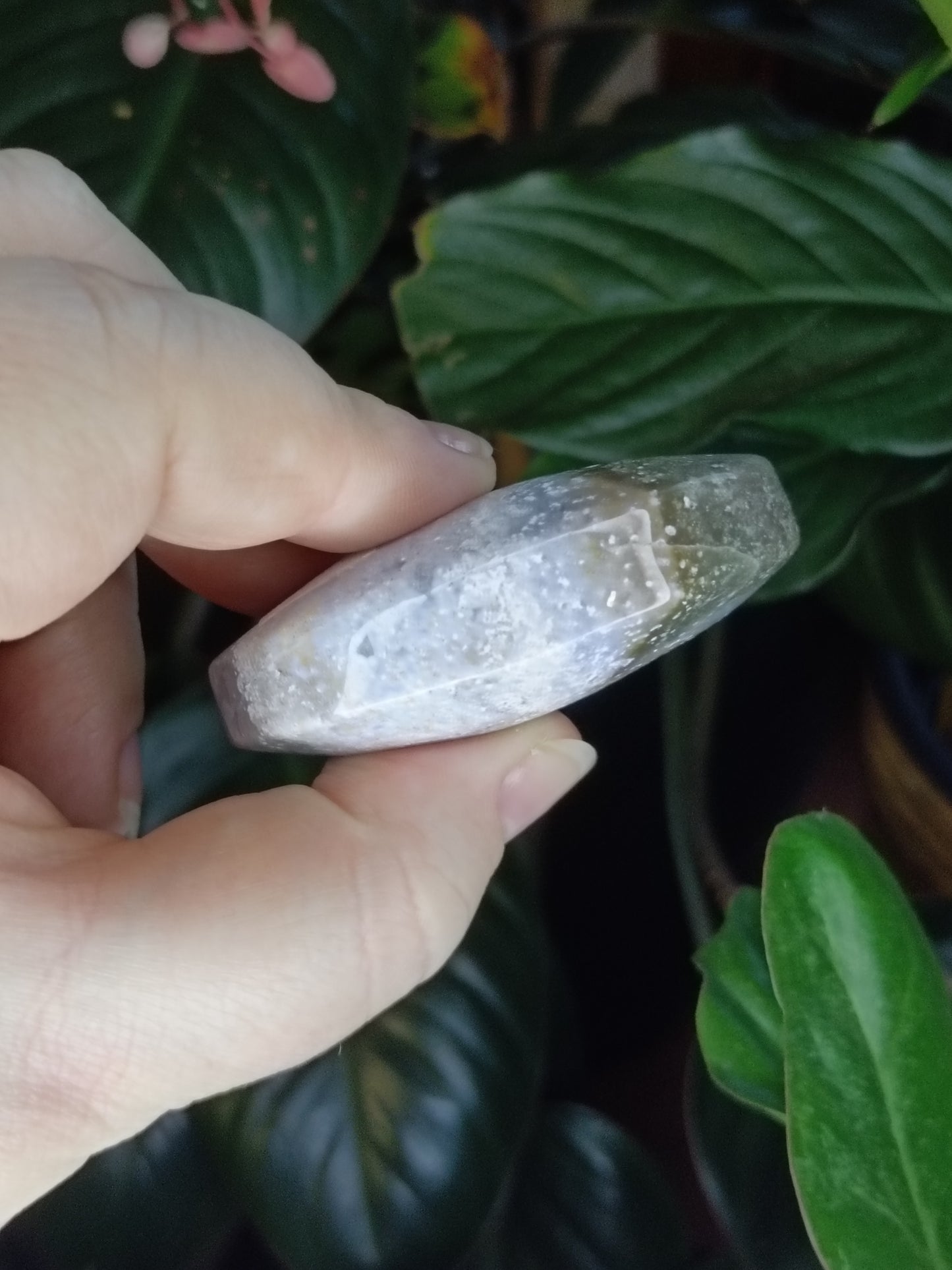 Ocean Jasper Palmstone - 72g