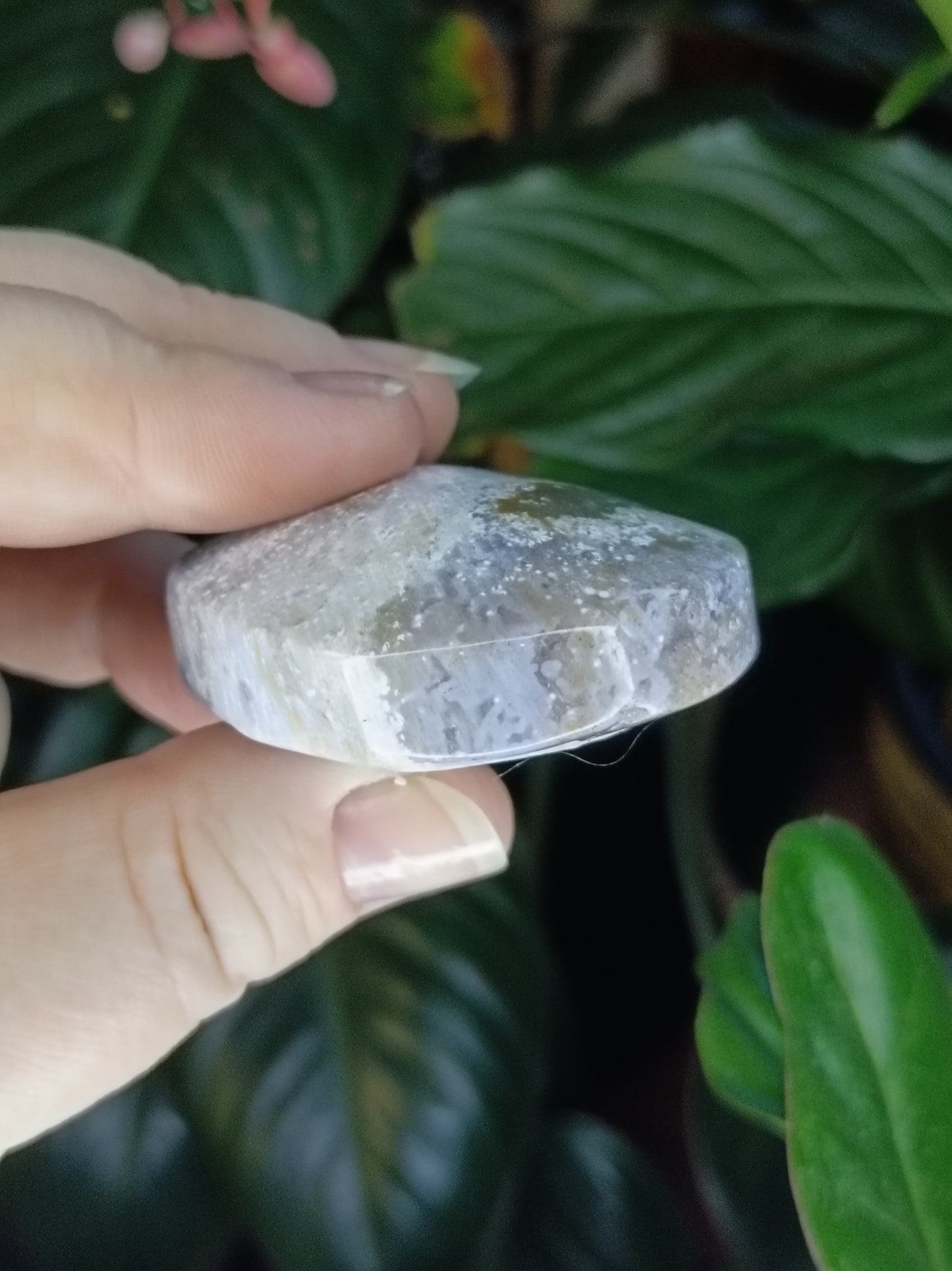 Ocean Jasper Palmstone - 72g
