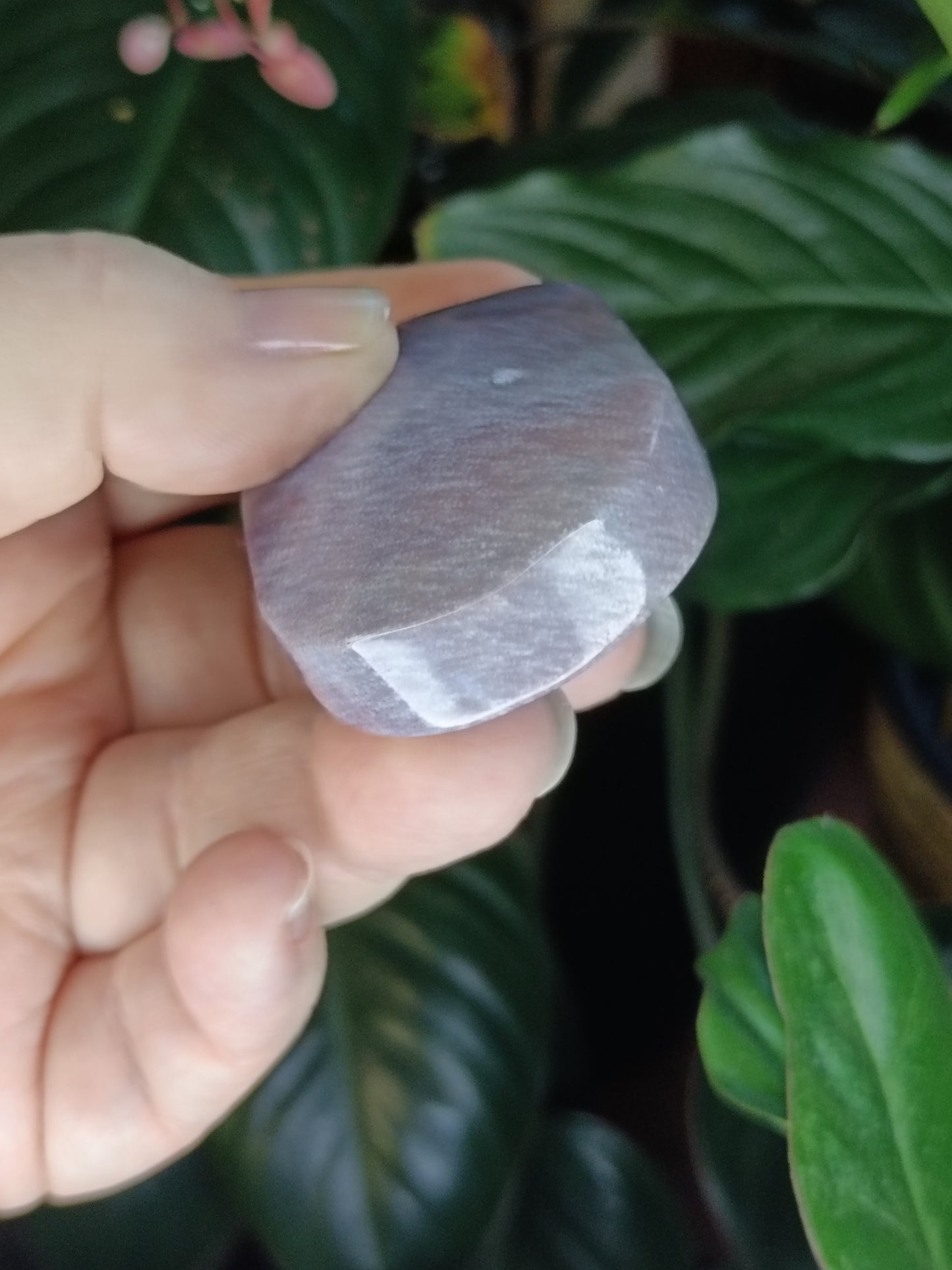 Ocean Jasper Palmstone - 82g