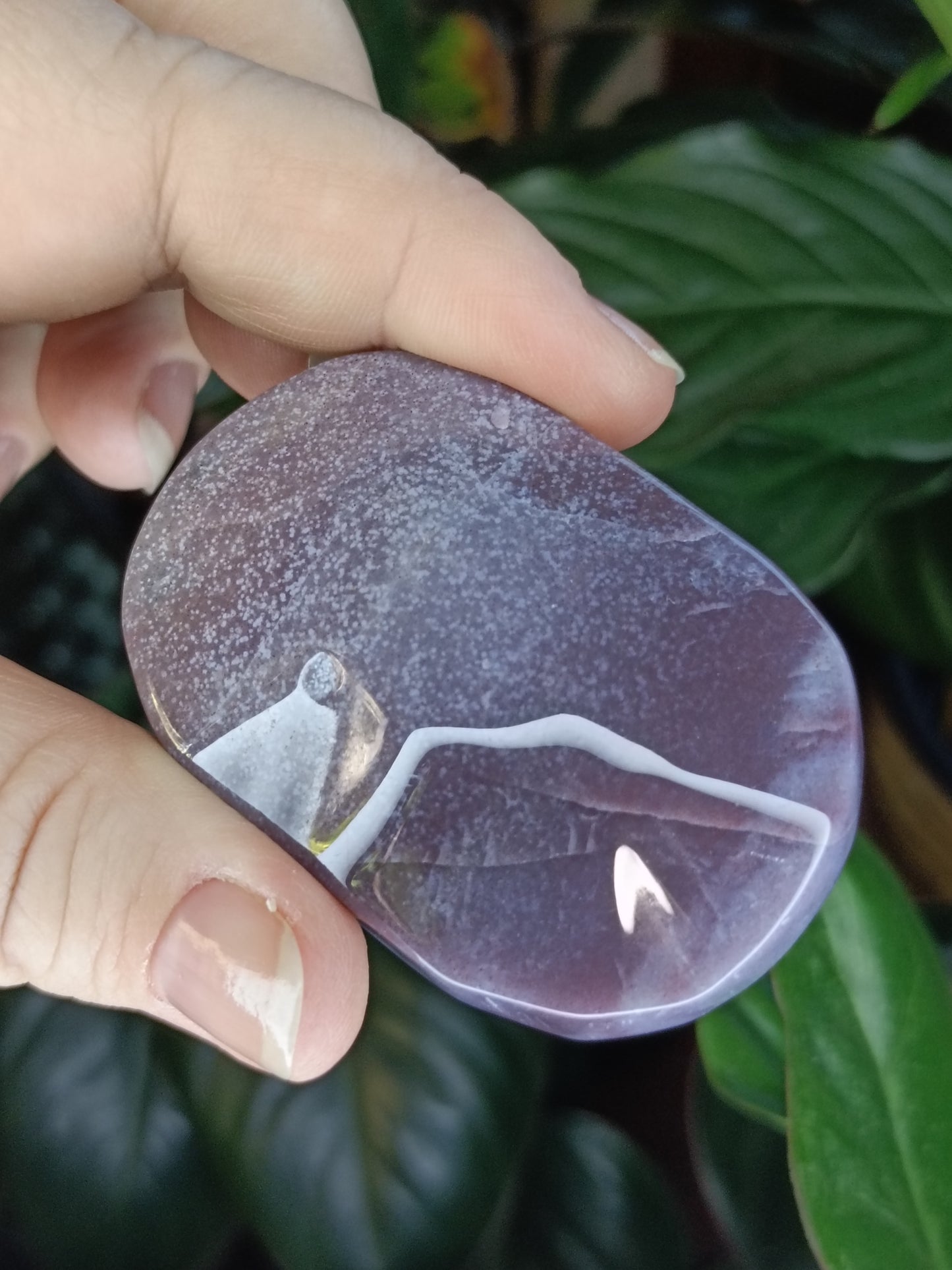 Ocean Jasper Palmstone - 82g