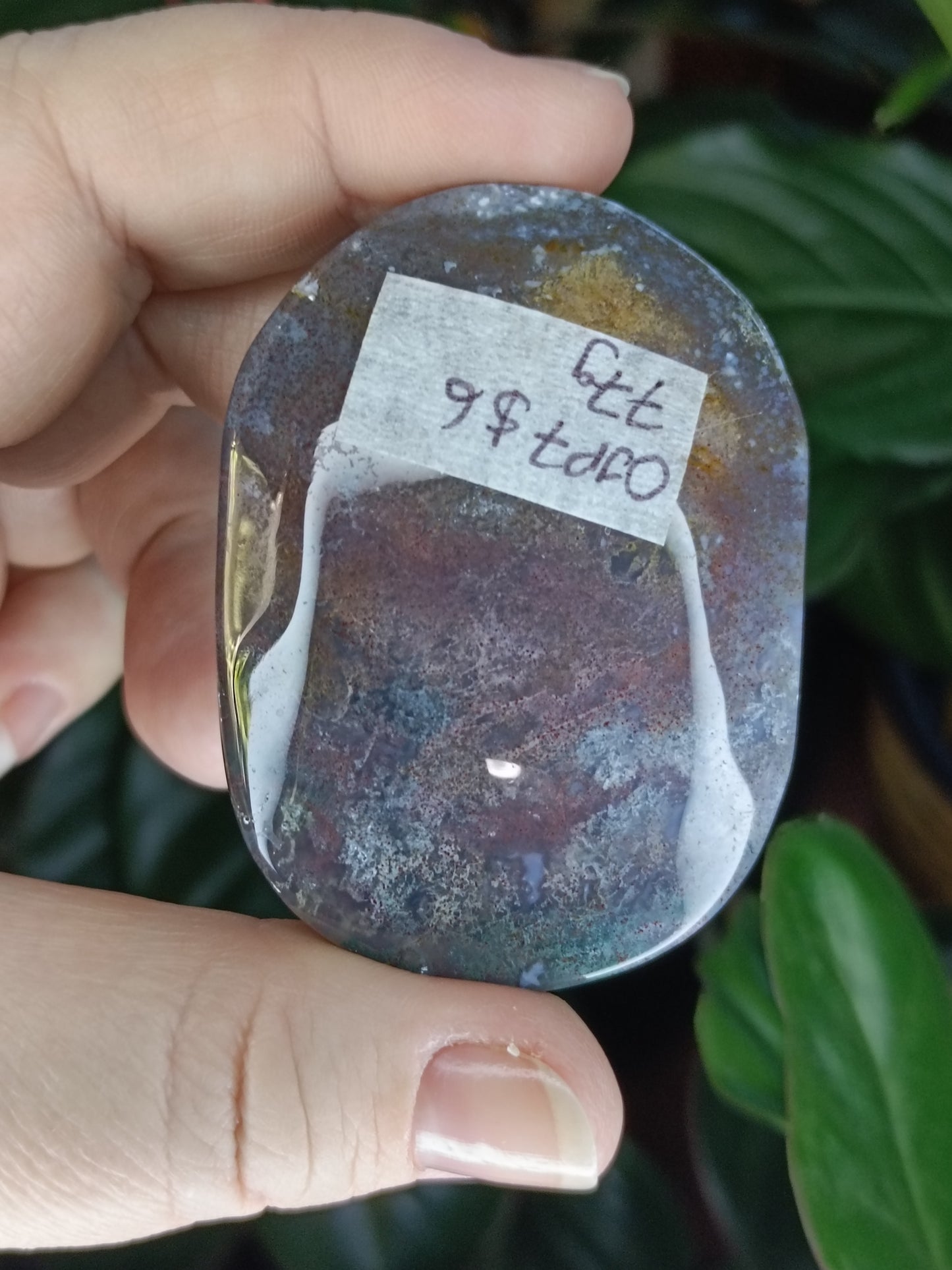 Ocean Jasper Palmstone - 77g