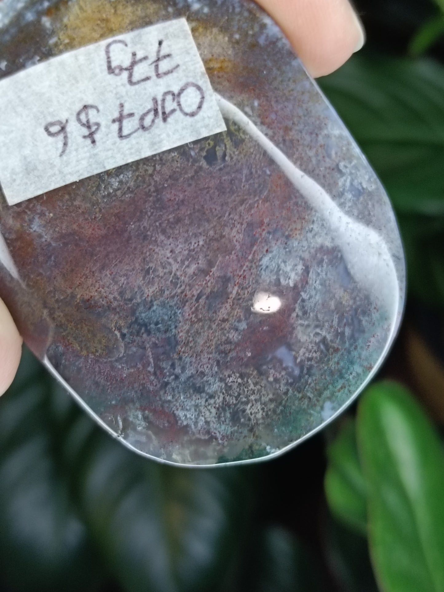 Ocean Jasper Palmstone - 77g