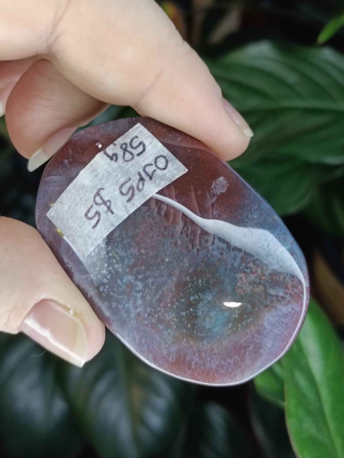 Ocean Jasper Palmstone - 58g