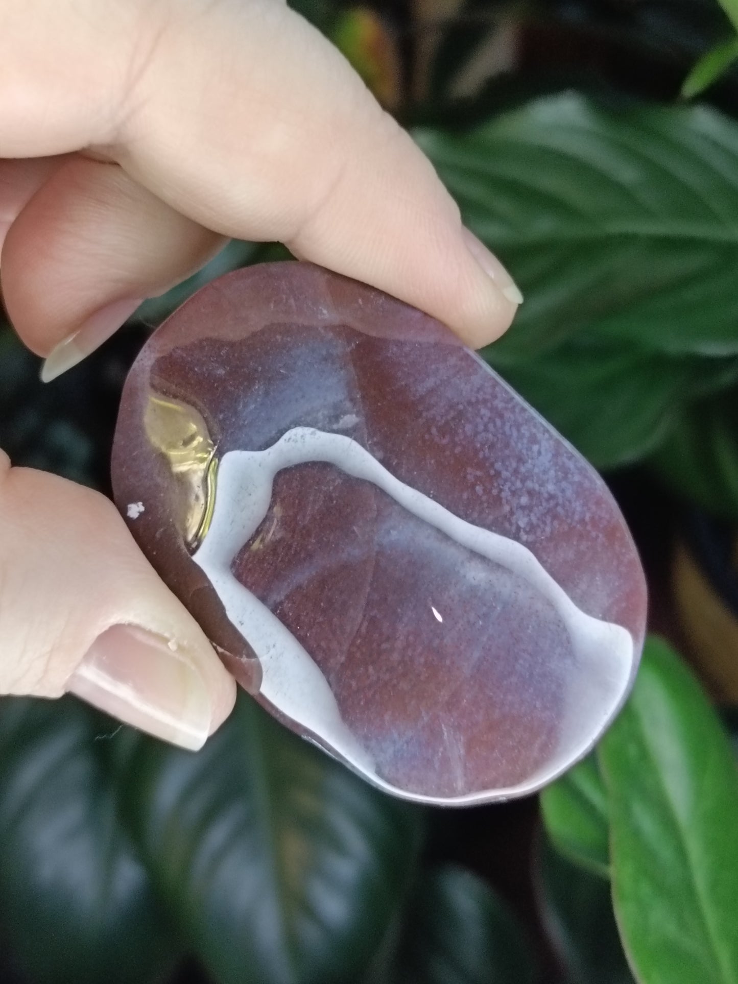Ocean Jasper Palmstone - 58g