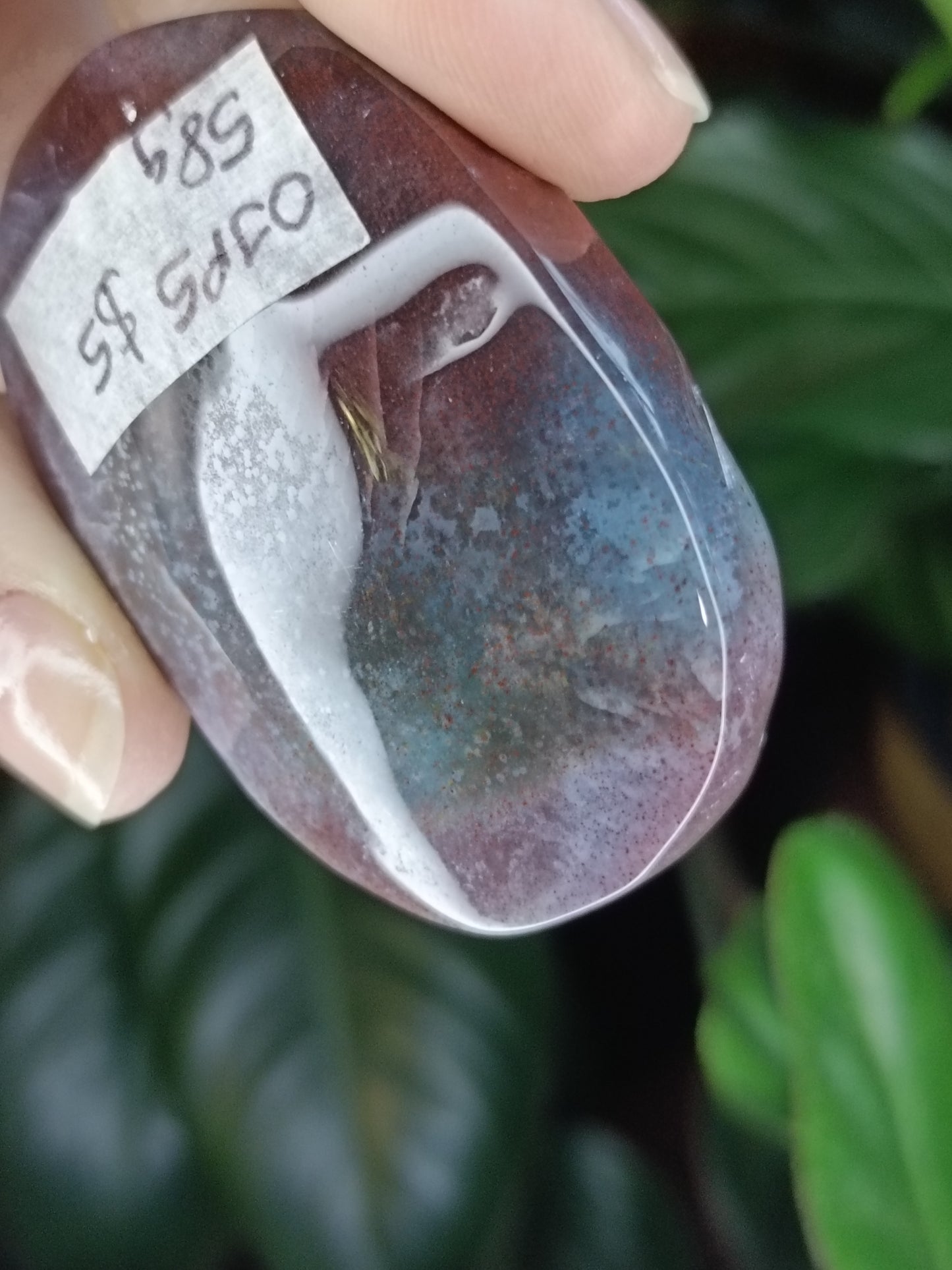 Ocean Jasper Palmstone - 58g